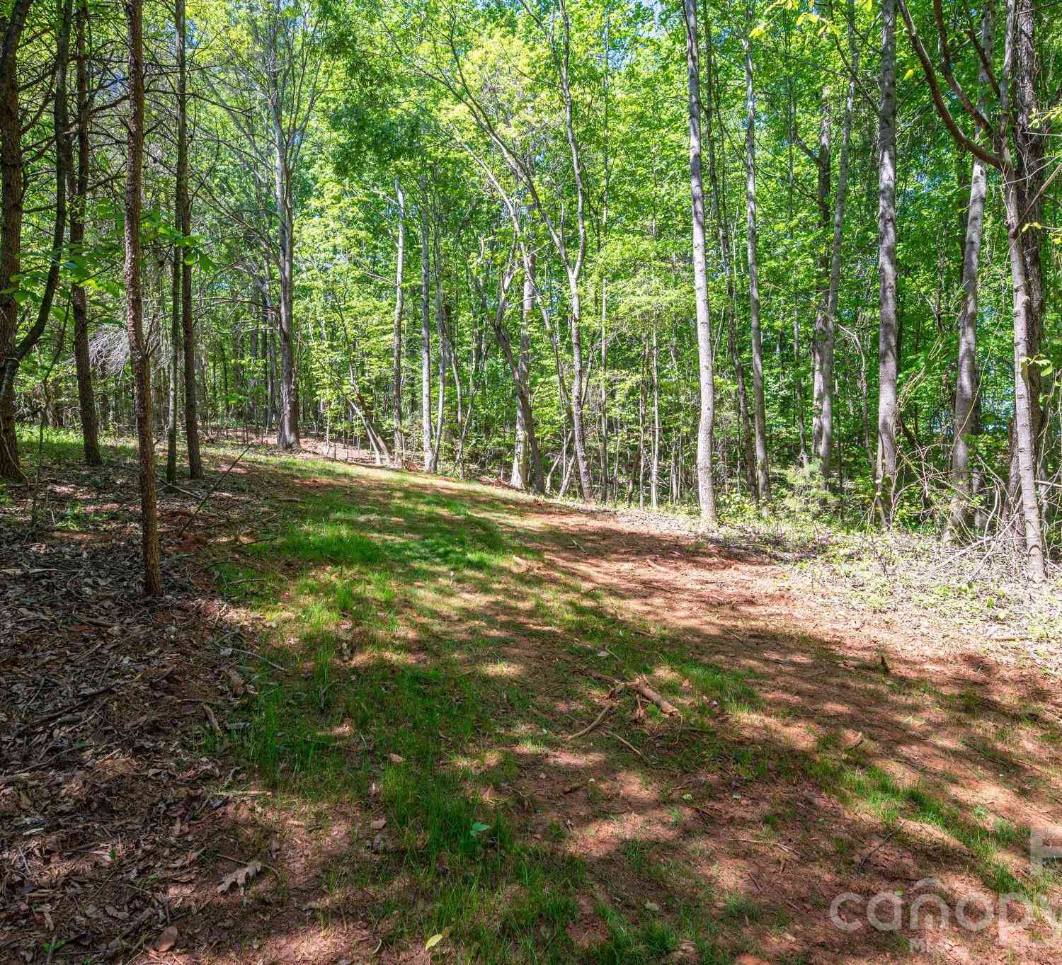 Vacant Land For Sale - Captains Cove Lane #31<br/> Lincolnton, NC 28092