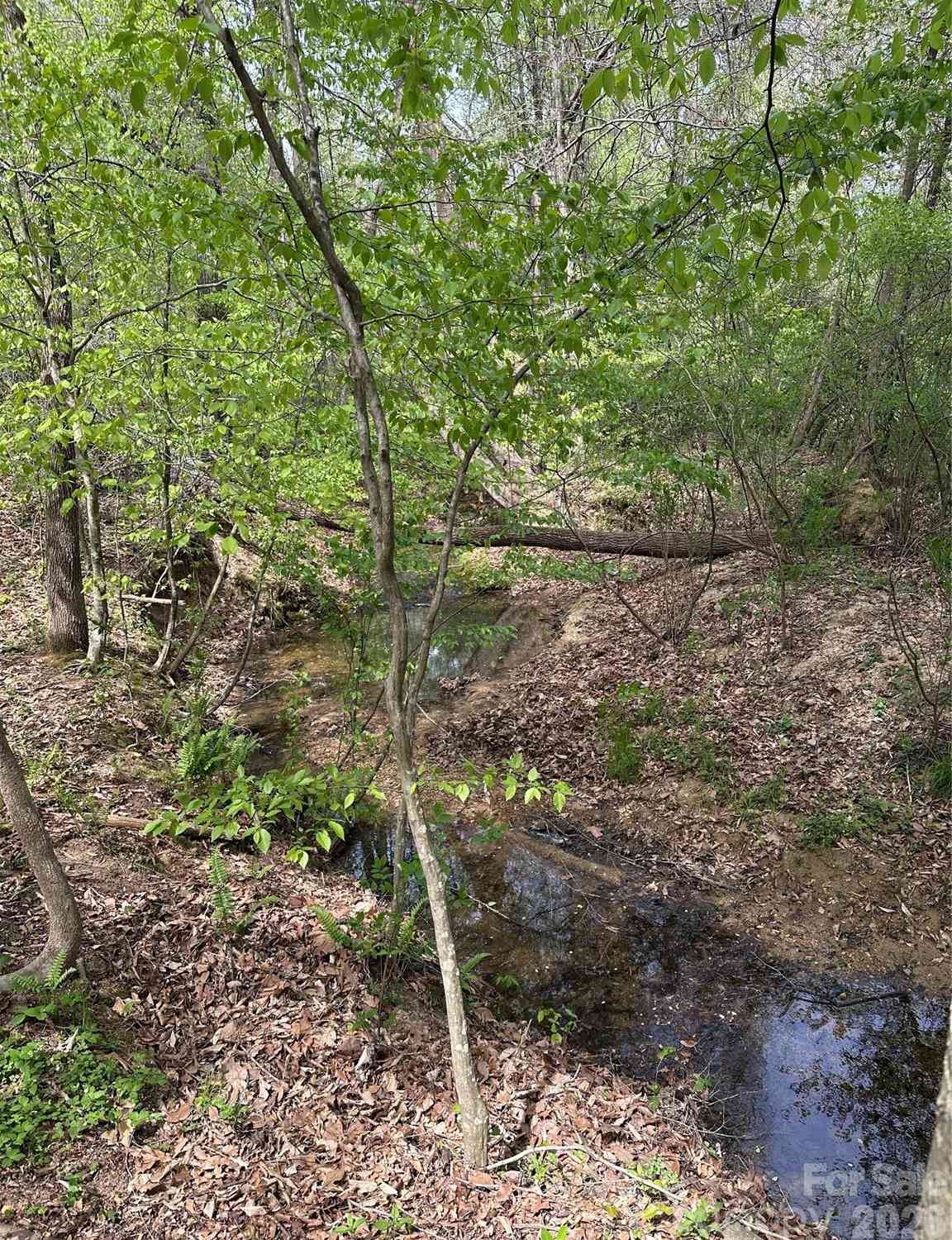 Vacant Land For Sale - Will Boone Road<br/> Mocksville, NC 27028