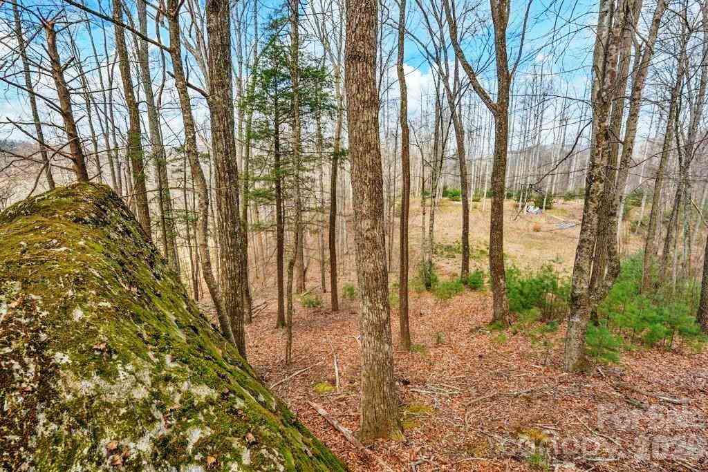 Vacant Land For Sale - TBD Denney Wood Road<br/> Sugar Grove, NC 28679