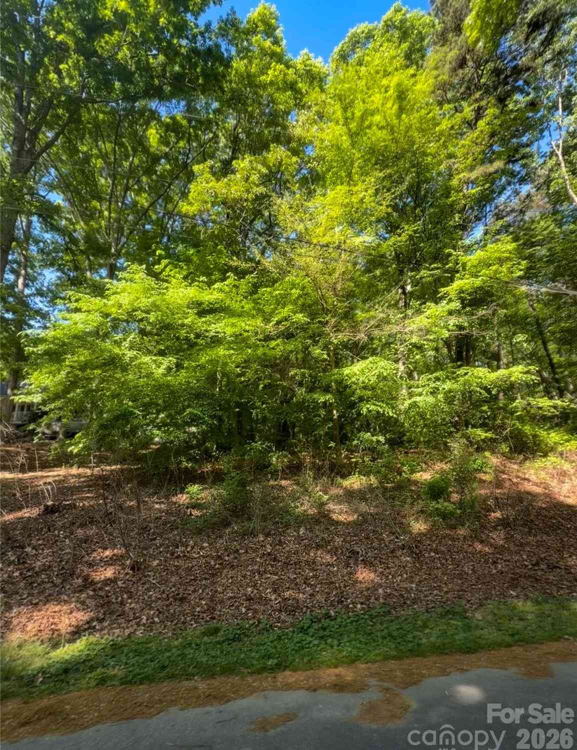Vacant Land For Sale - 8793 Peninsula Drive<br/> Terrell, NC 28682