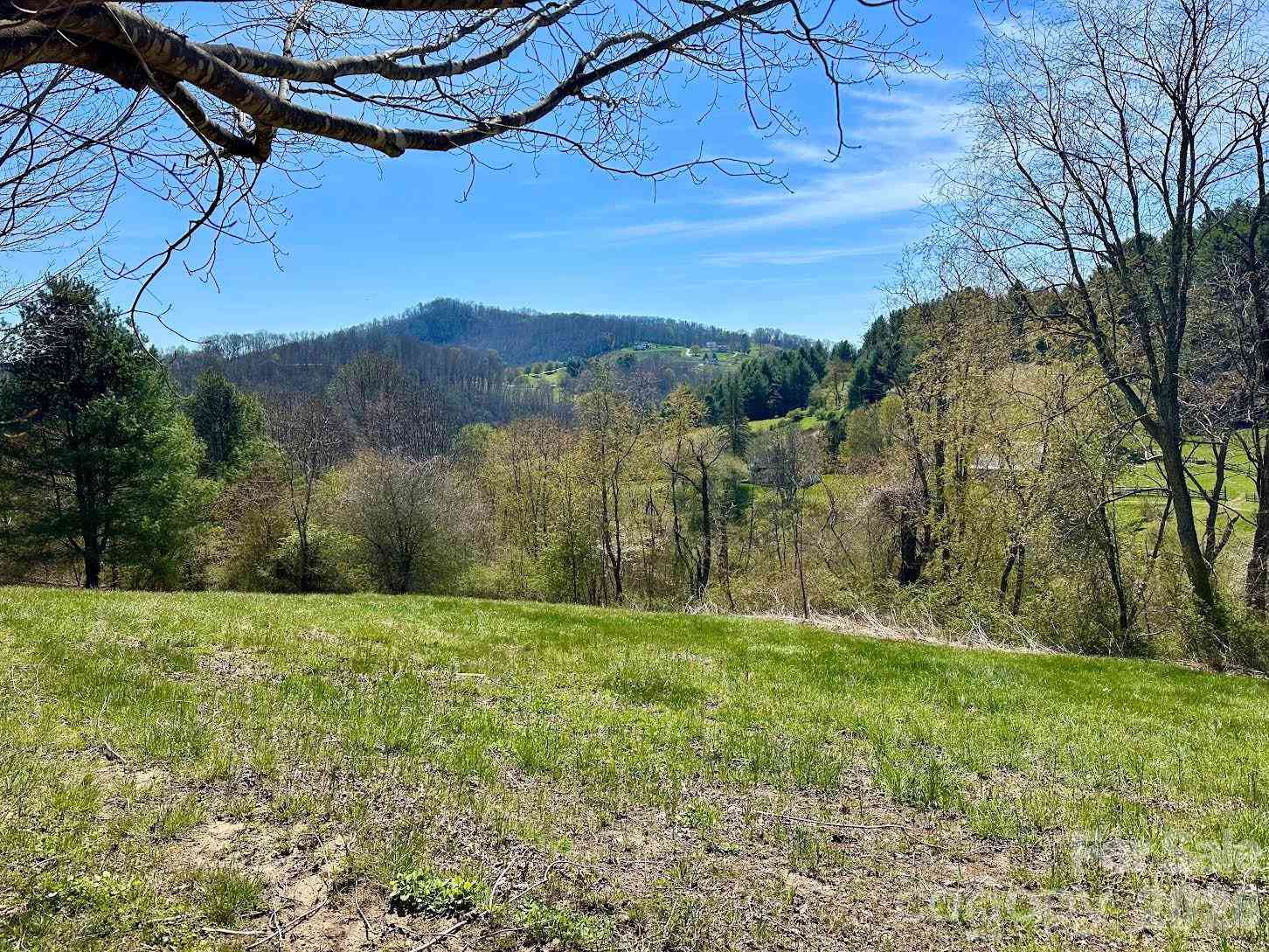 Vacant Land For Sale - TBD Charter Trail<br/> Jefferson, NC 28640