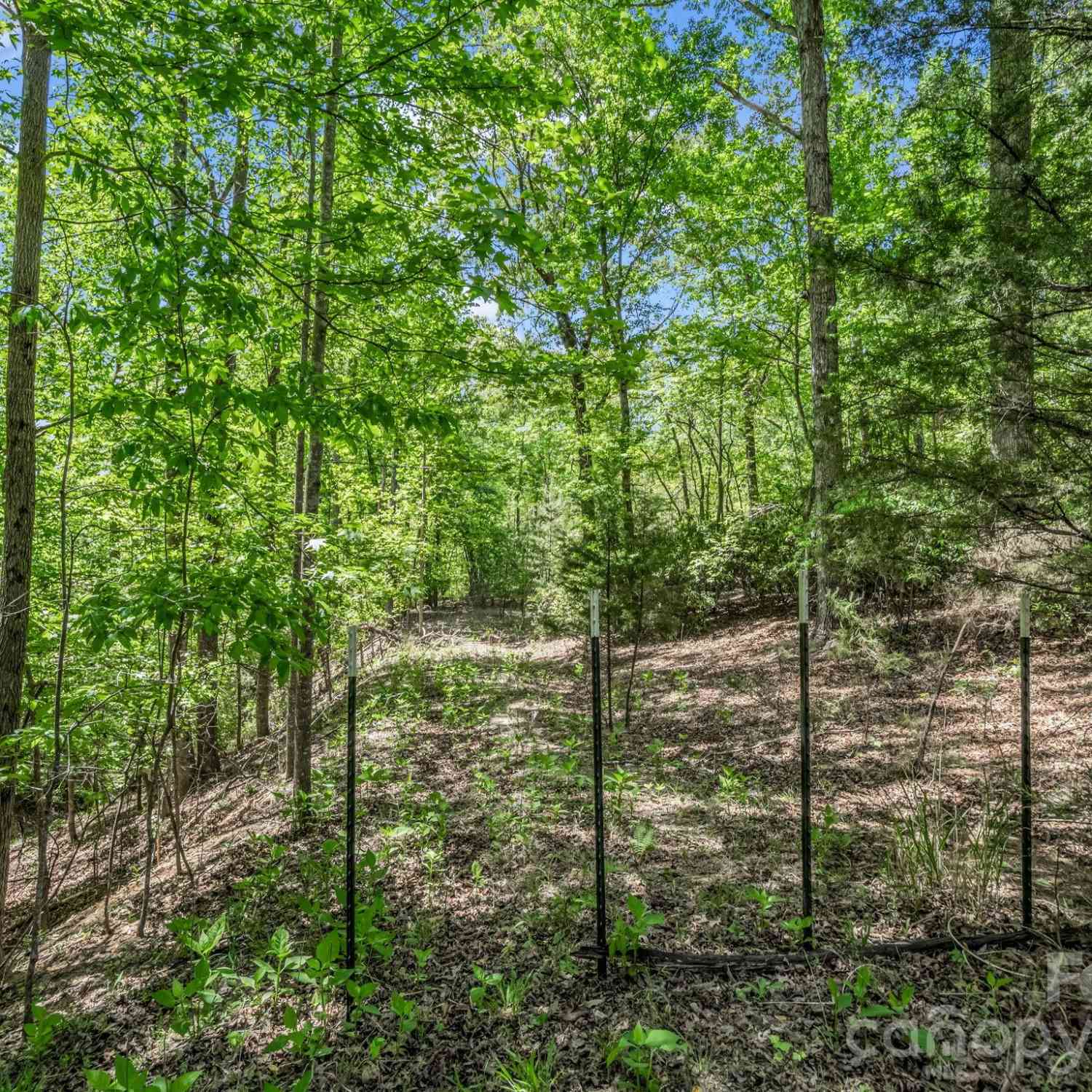 Vacant Land For Sale - 206 Westmoreland Trail #8<br/> Tryon, NC 28782
