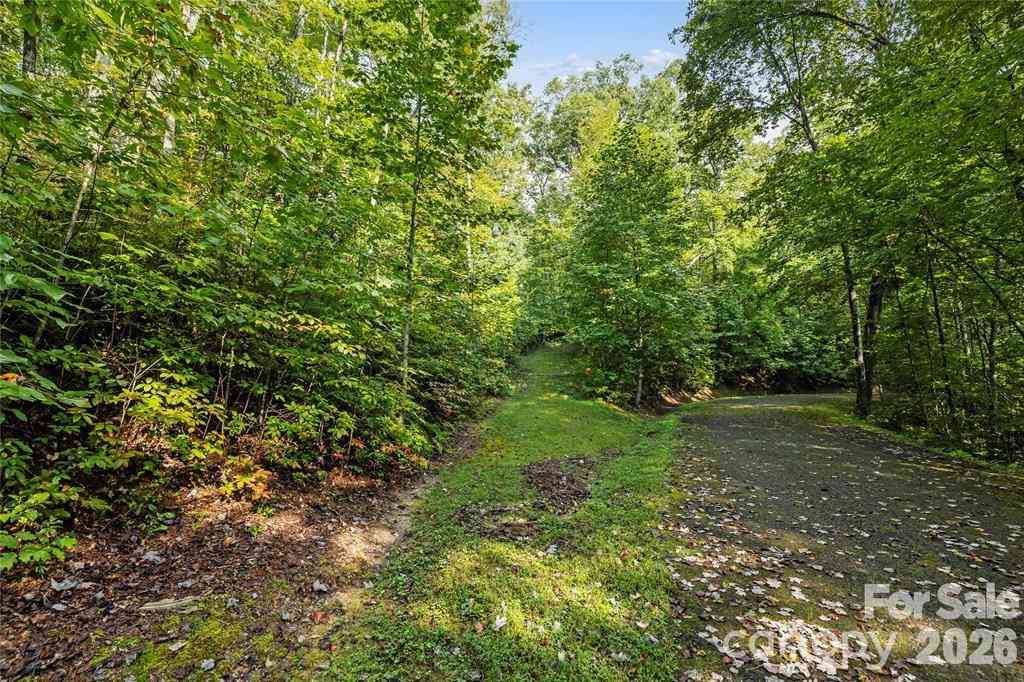 Vacant Land For Sale - TBD Barts Branch Drive #13<br/> Balsam Grove, NC 28708