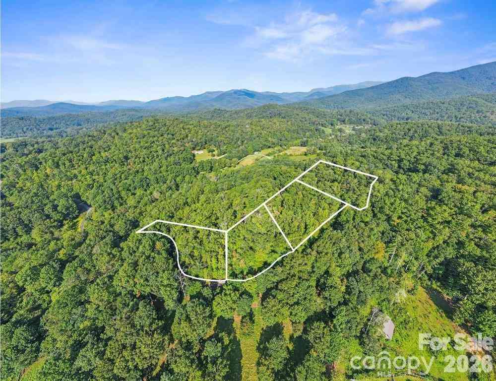 Vacant Land For Sale - TBD Barts Branch Drive #14<br/> Balsam Grove, NC 28708