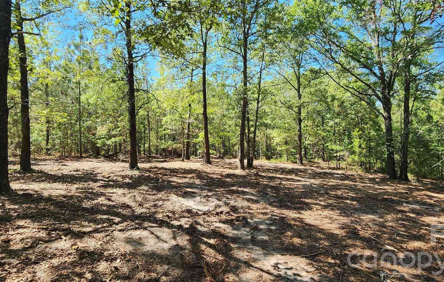 Vacant Land For Sale - 1050 Mcqueen Road<br/> Patrick, SC 29584