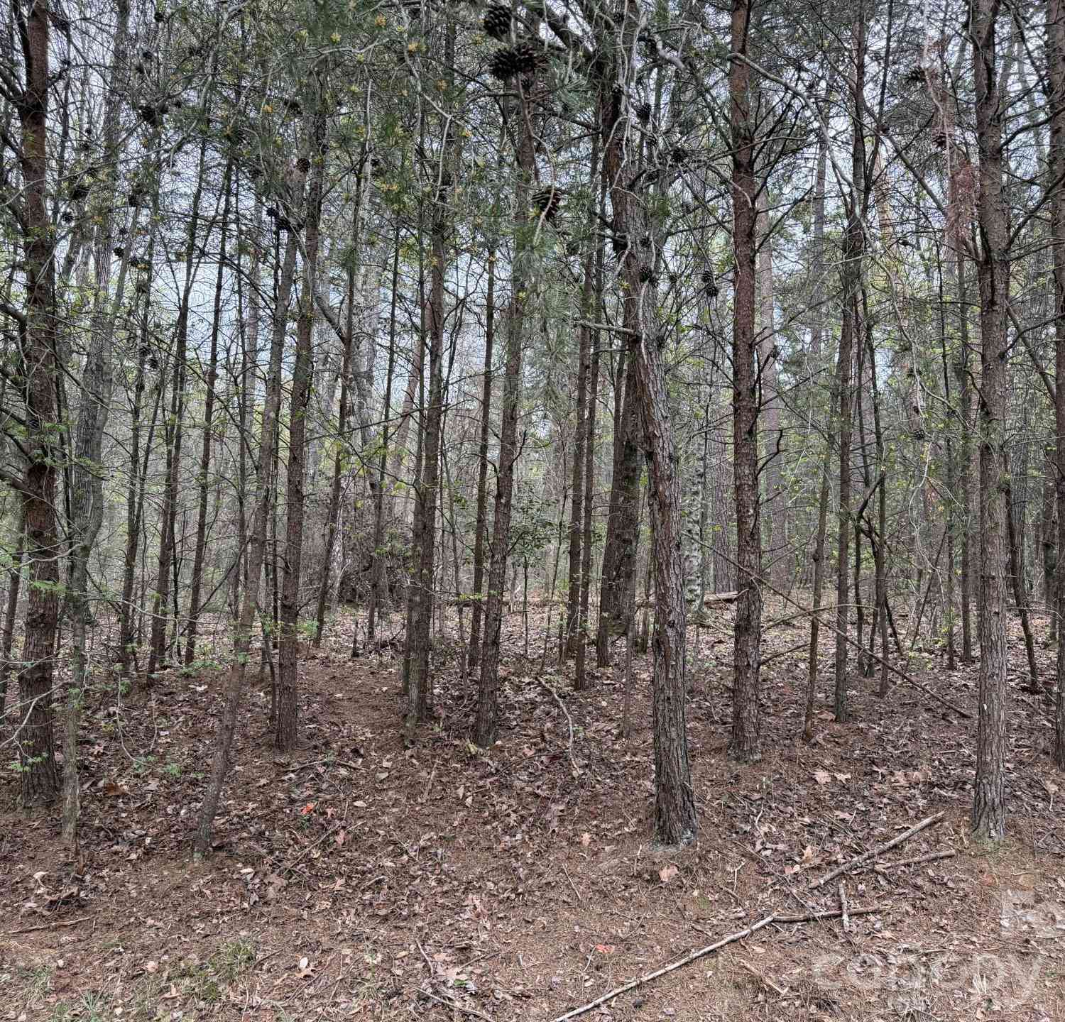 Vacant Land For Sale - Whisper Lake Drive #120<br/> New London, NC 28127