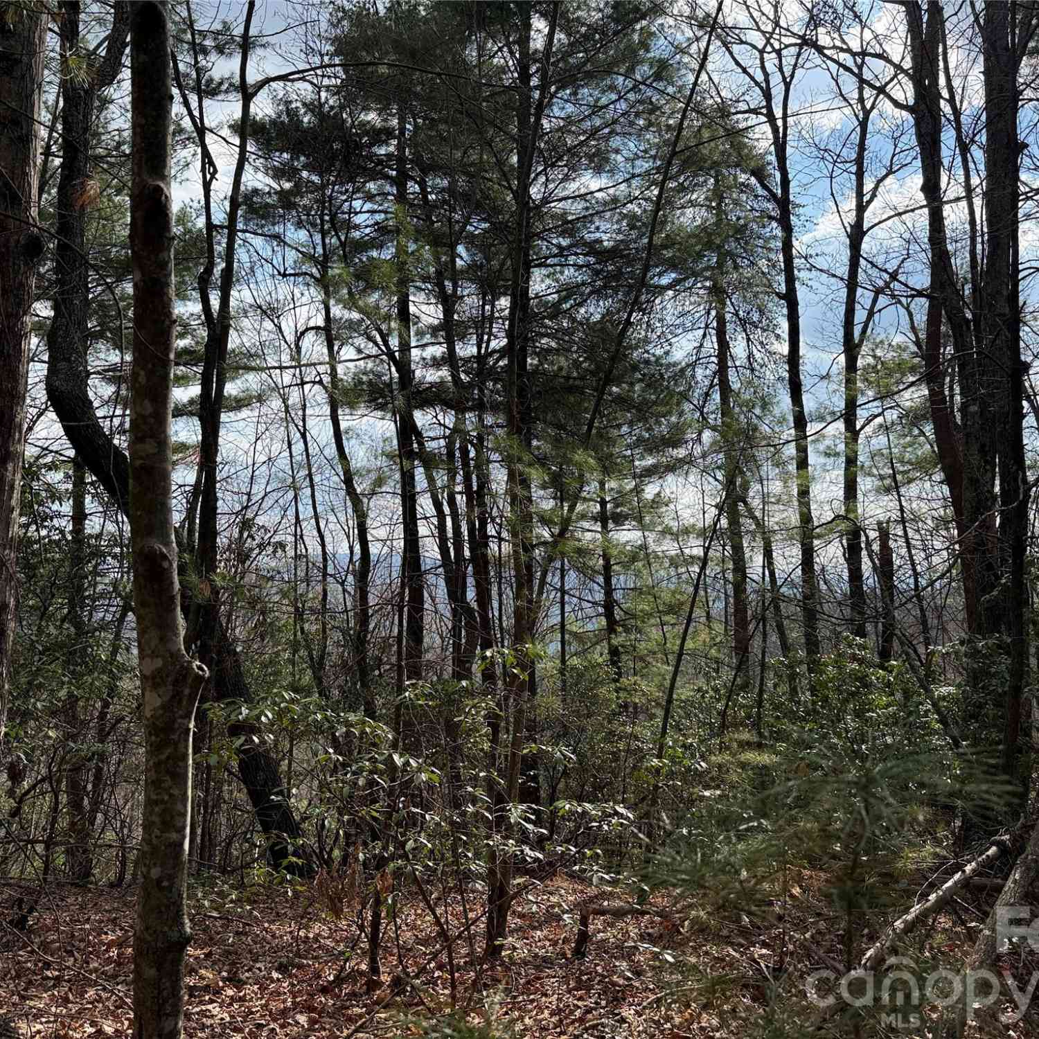 Vacant Land For Sale - TBD Staghorn Road #51  52A<br/> Purlear, NC 28665