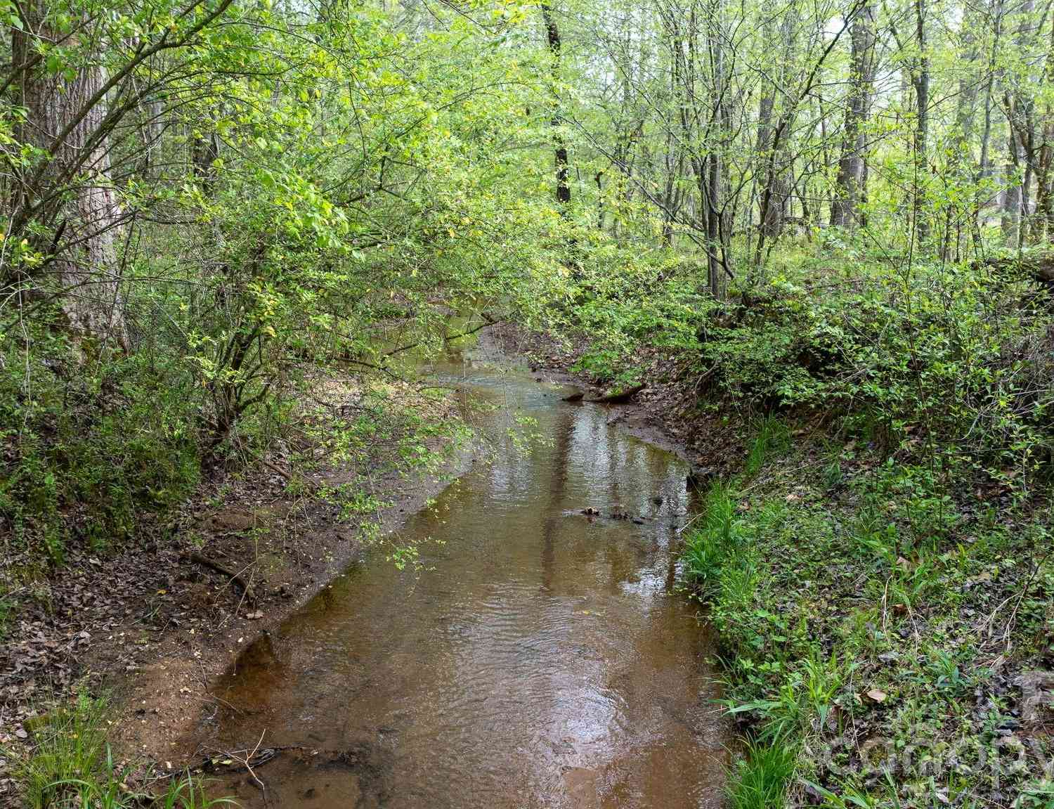 Vacant Land For Sale - Flowing Ivy Lane #8<br/> Claremont, NC 28610