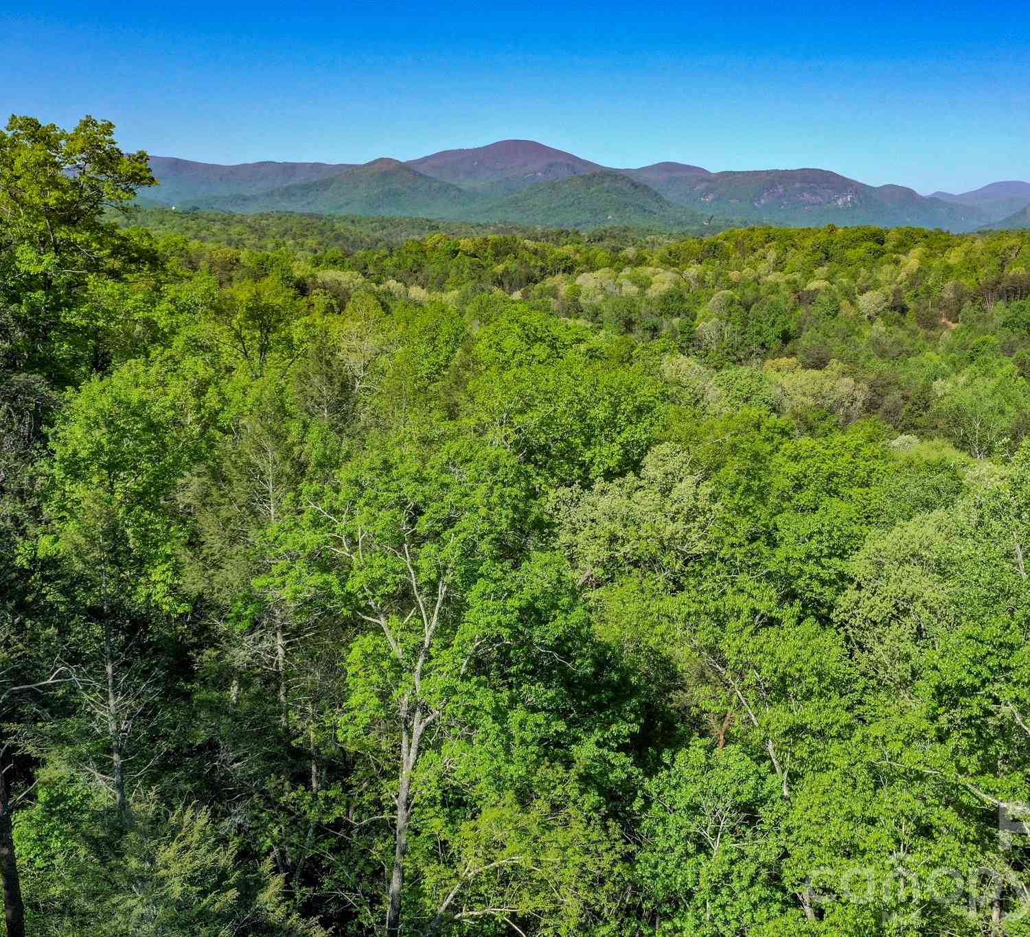 Vacant Land For Sale - Willow Top Lane<br/> Lake Lure, NC 28746
