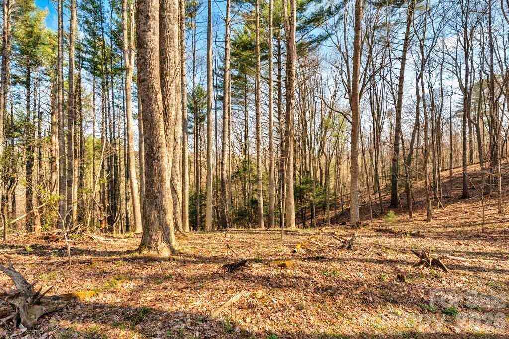 Vacant Land For Sale - TBD Private Drive<br/> Sugar Grove, NC 28679