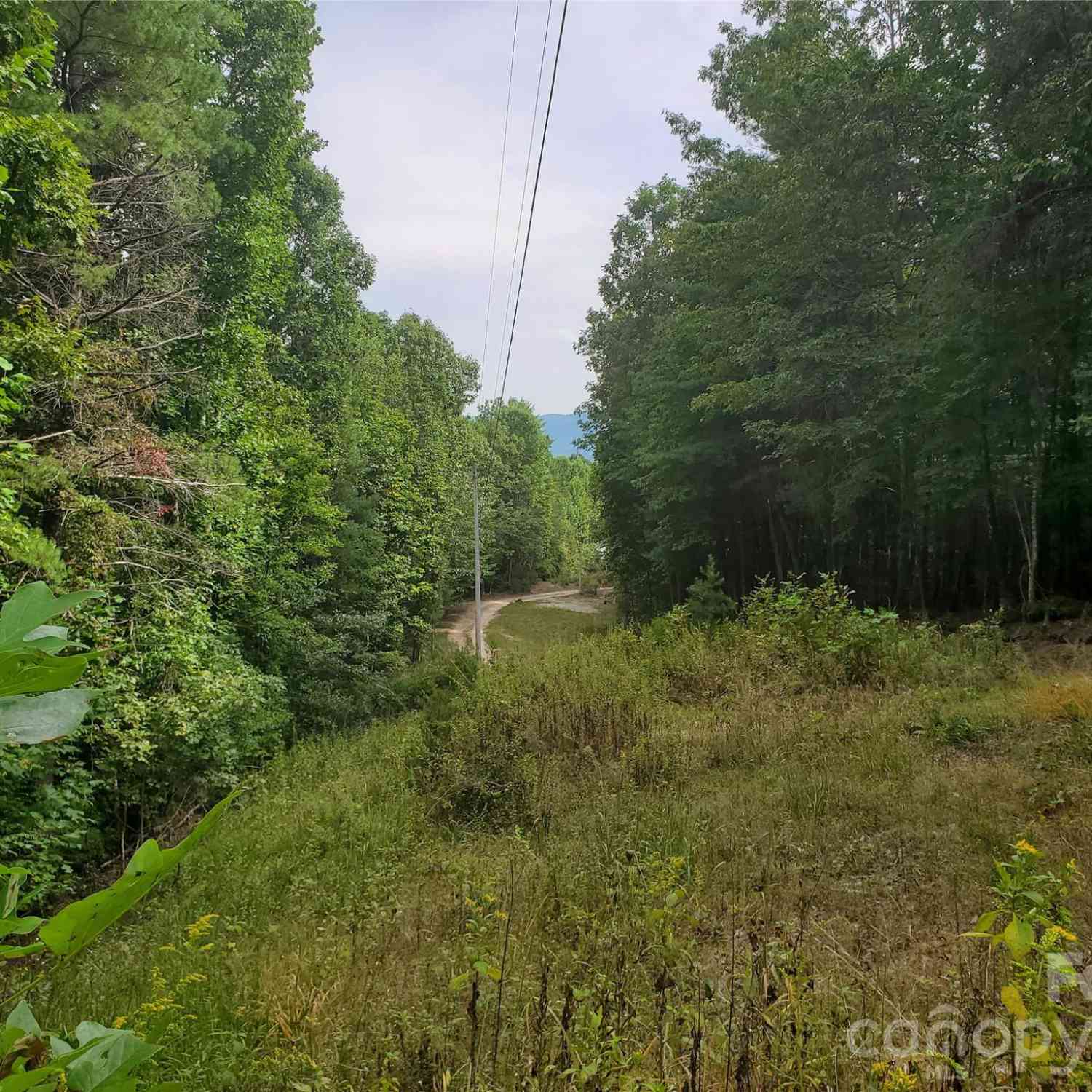 Vacant Land For Sale - 3024 Pearson Mountain Road<br/> Boomer, NC 28606