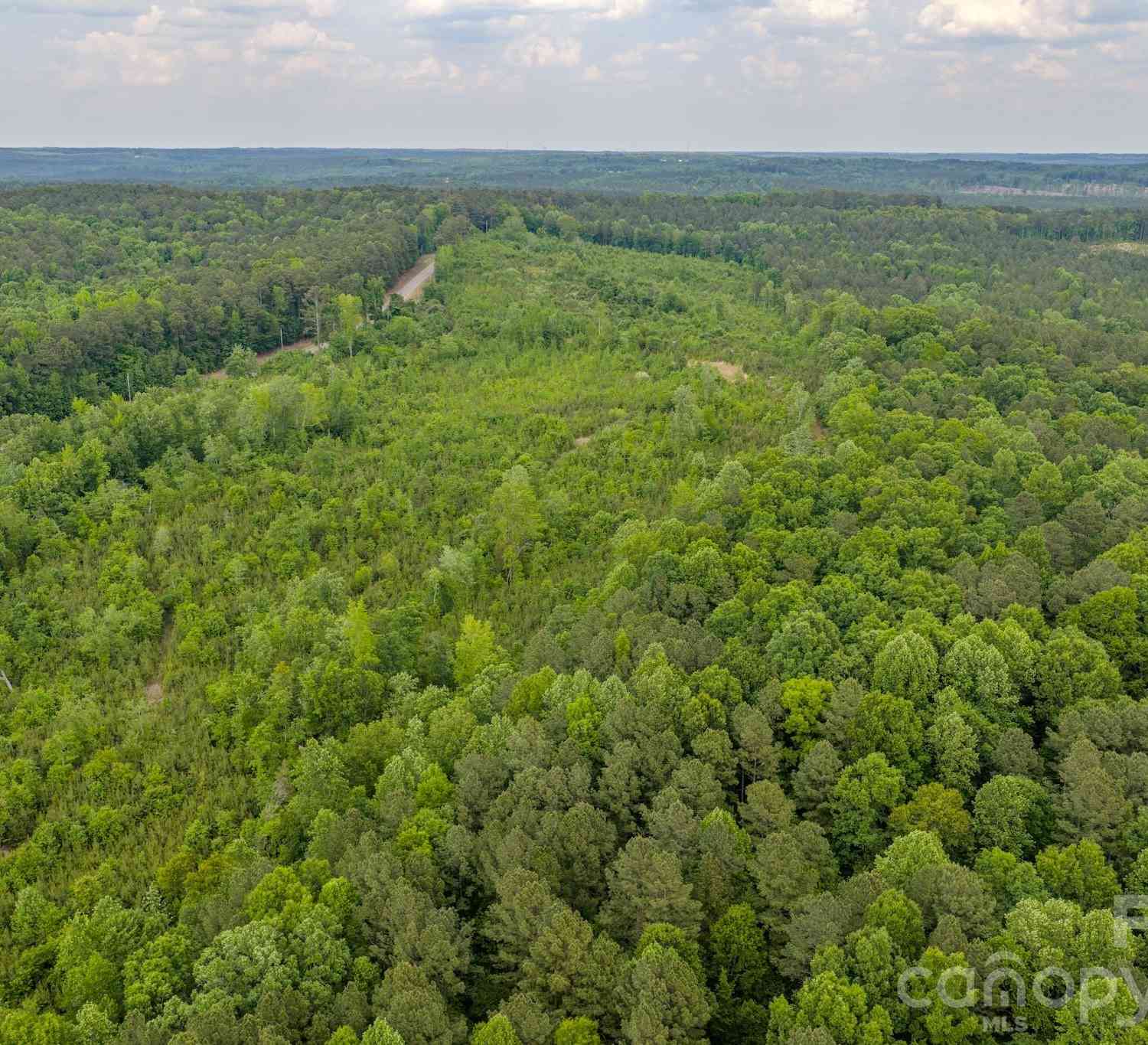 Vacant Land For Sale - Hwy 731 Highway<br/> Candor, NC 27229