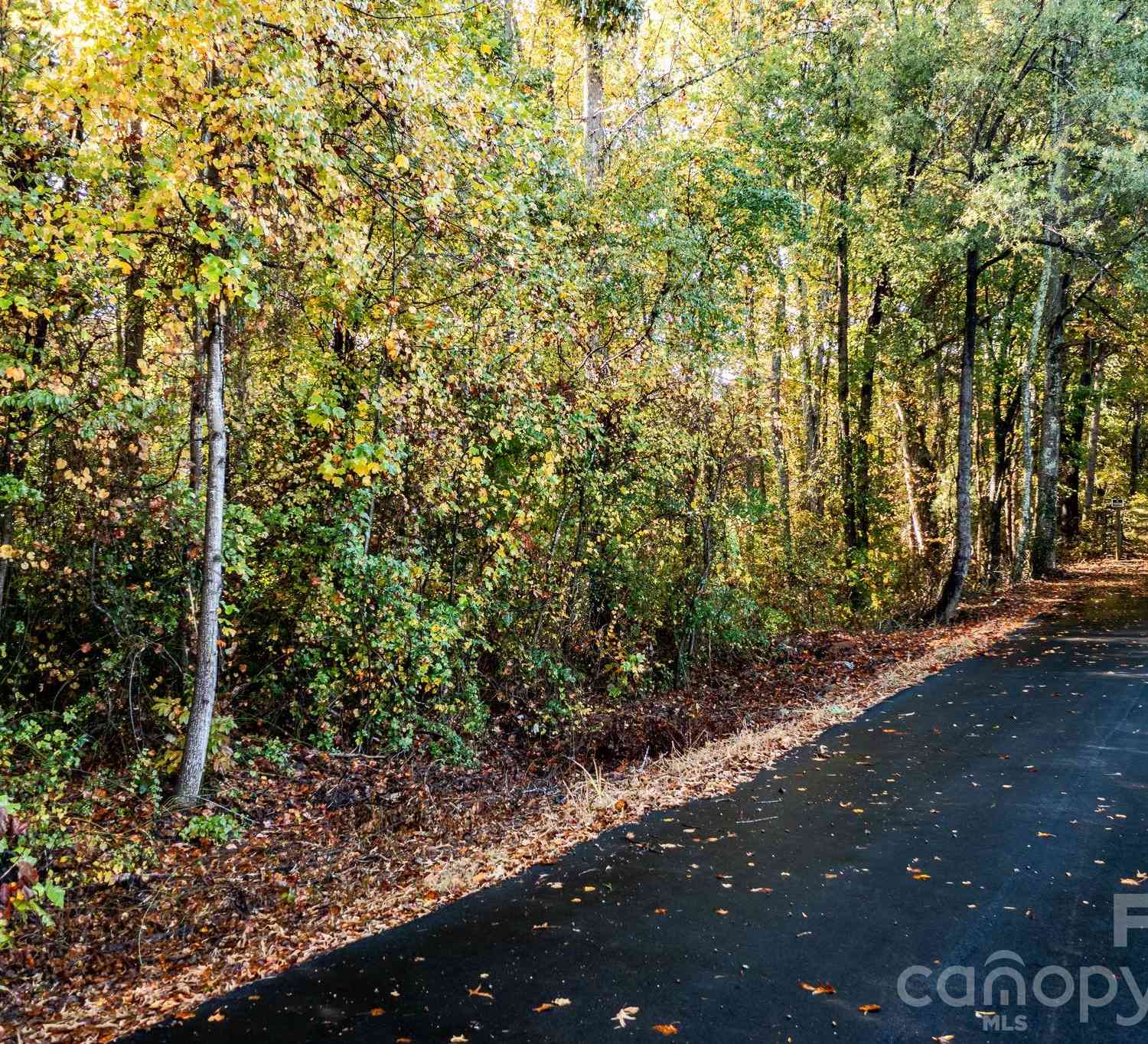 Vacant Land For Sale - LOTS 7-13 Sipe Drive<br/> Claremont, NC 28610