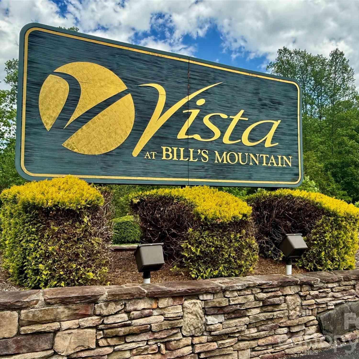 Vacant Land For Sale - 274 Bills Mountain Trail #274<br/> Lake Lure, NC 28746