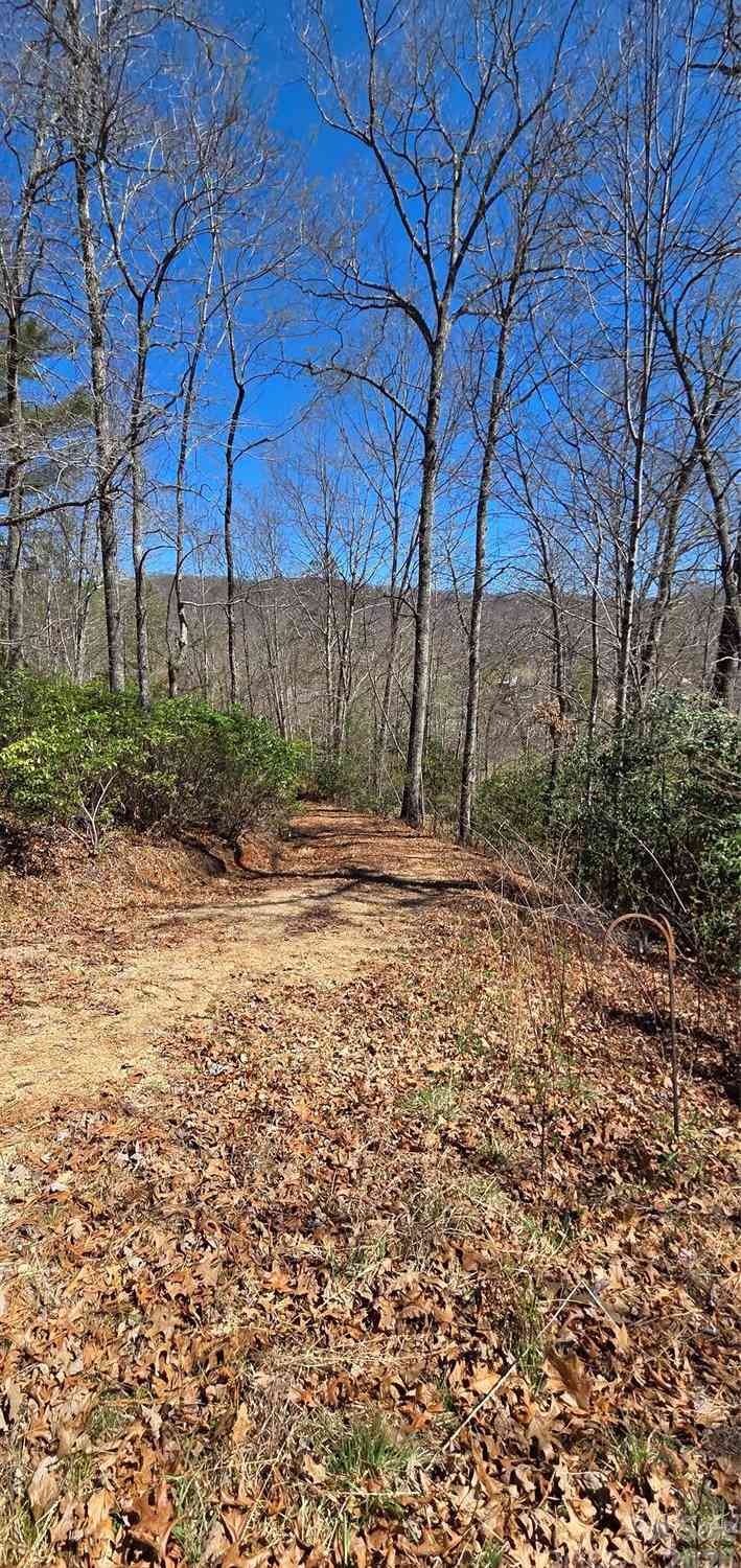 Vacant Land For Sale - 90 Kimiko Lane #3031<br/> Balsam Grove, NC 28708