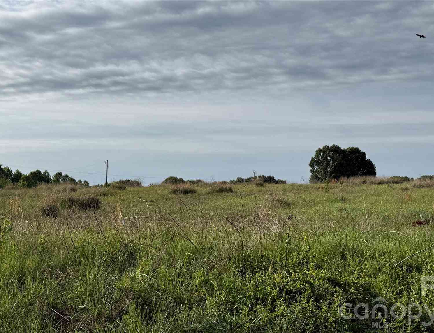 Vacant Land For Sale - TBD Nc 10 Highway #1<br/> Newton, NC 28658