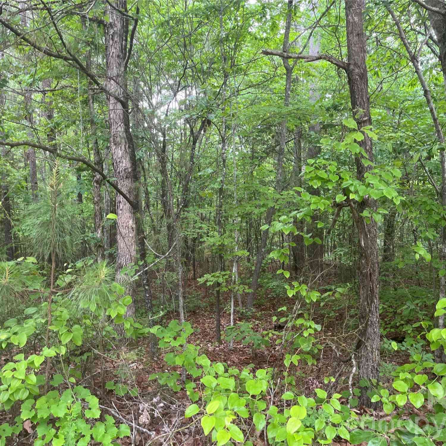 Vacant Land For Sale - 2426 Ore Bank Road<br/> Smyrna, SC 29743