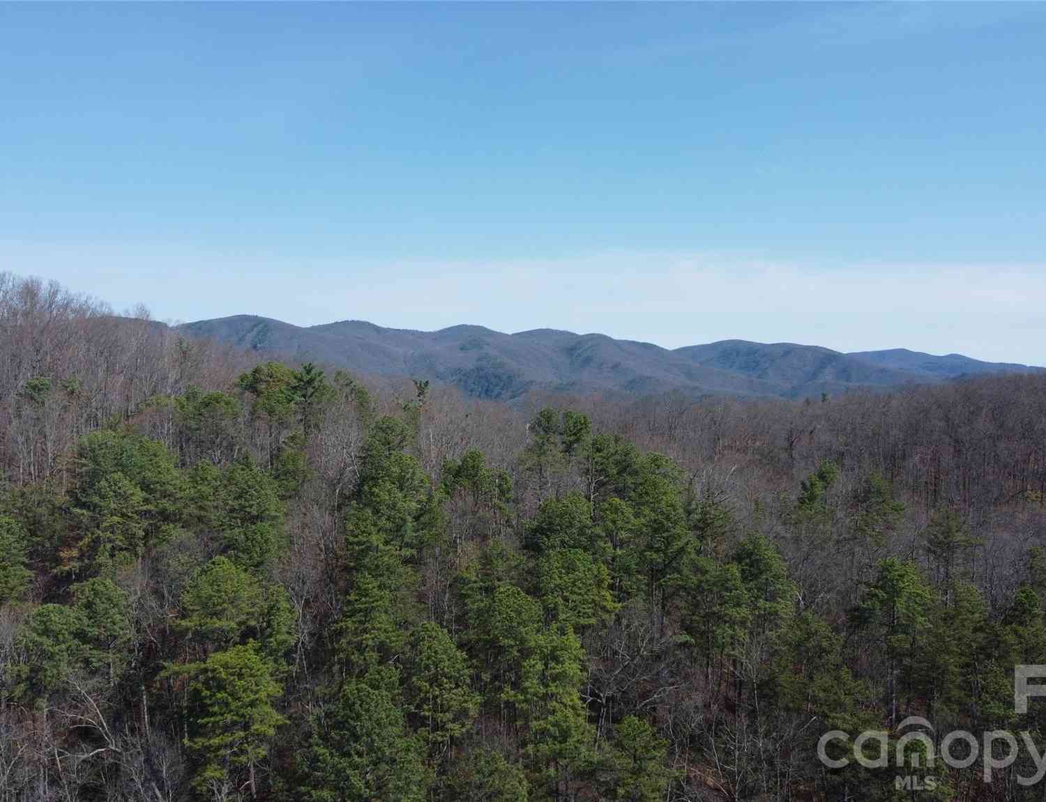 Vacant Land For Sale - 0000 Wilderness Road<br/> Hays, NC 28635