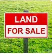 Vacant Land For Sale - 77 Great North Road<br/> Winnsboro, SC 29180