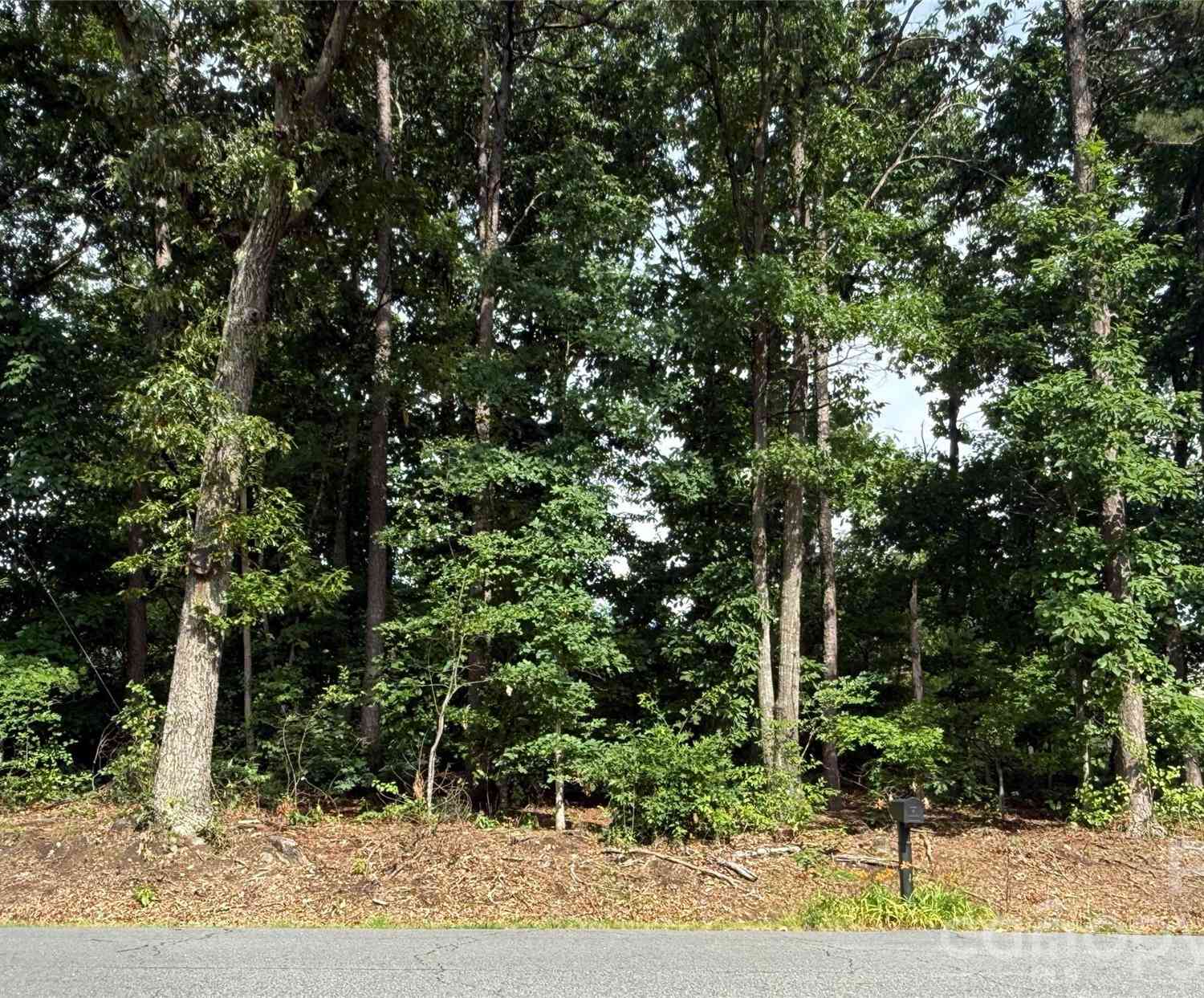 Vacant Land For Sale - 00 Brookhaven Drive<br/> Lincolnton, NC 28092