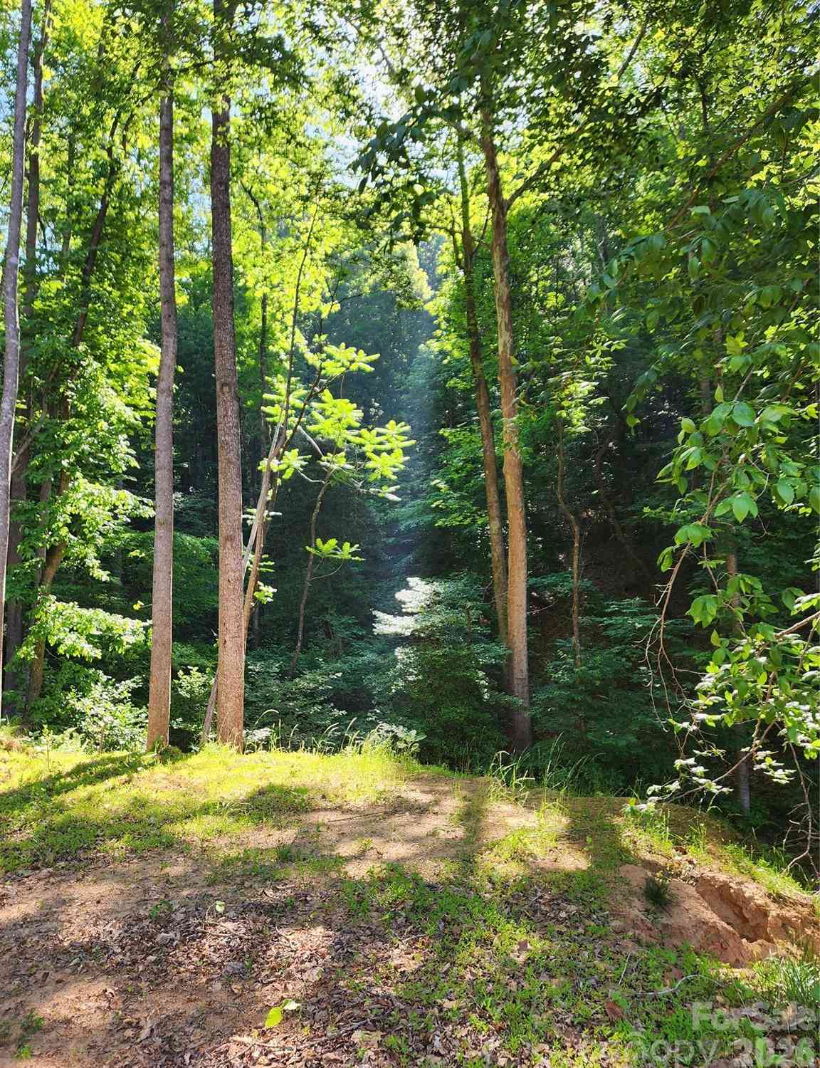 Vacant Land For Sale - TBD Boone Gap Lane<br/> Taylorsville, NC 28681