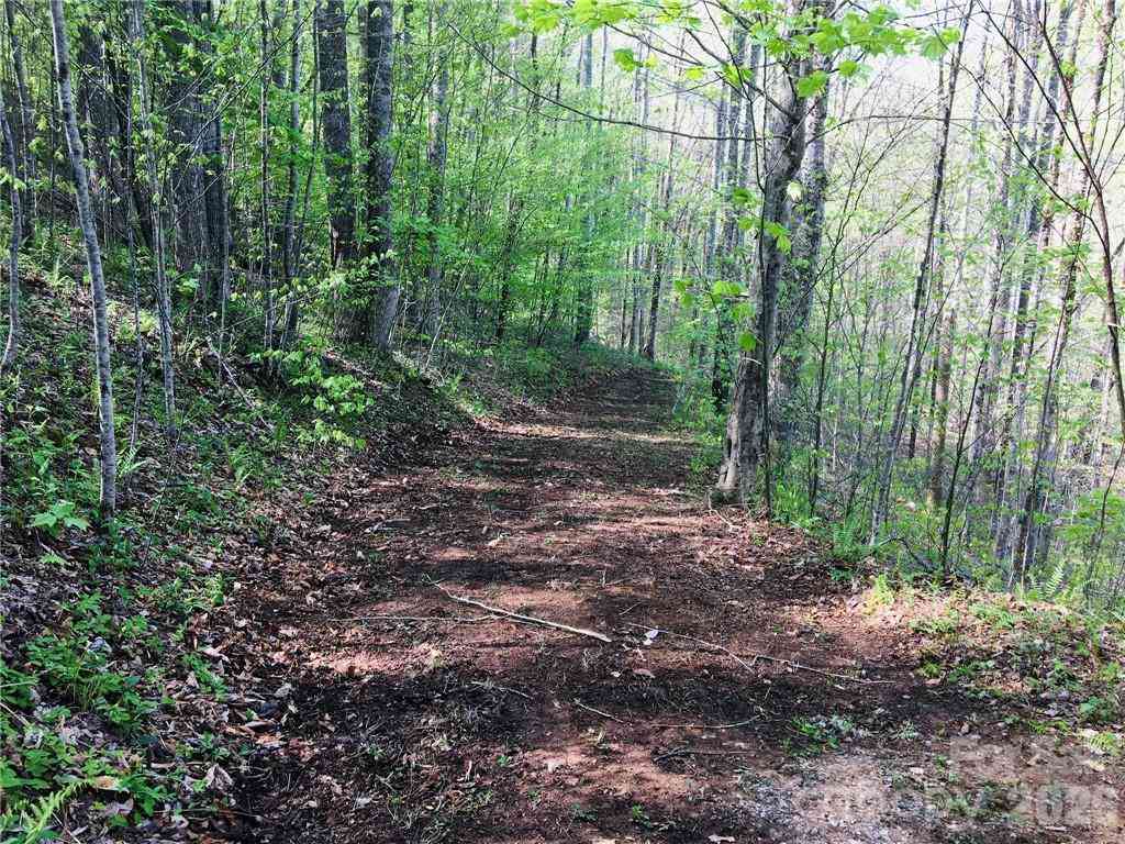 Vacant Land For Sale - 99 Fern Hill Drive<br/> Mars Hill, NC 28754