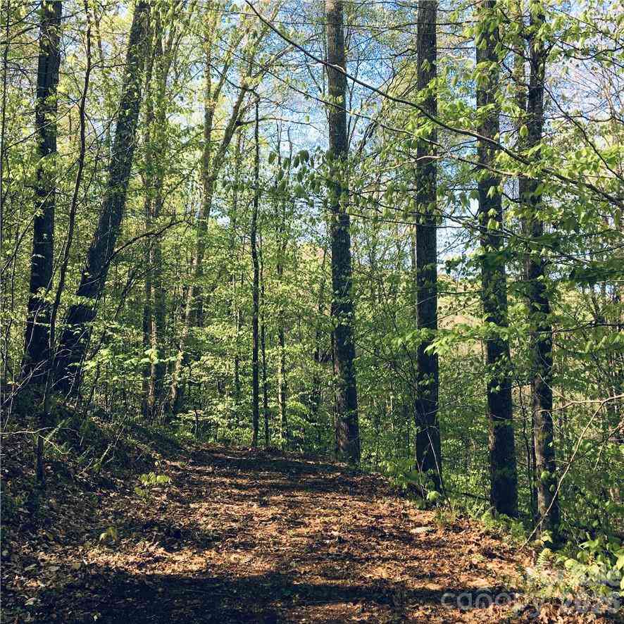 Vacant Land For Sale - 57 Fern Hill Drive<br/> Mars Hill, NC 28754