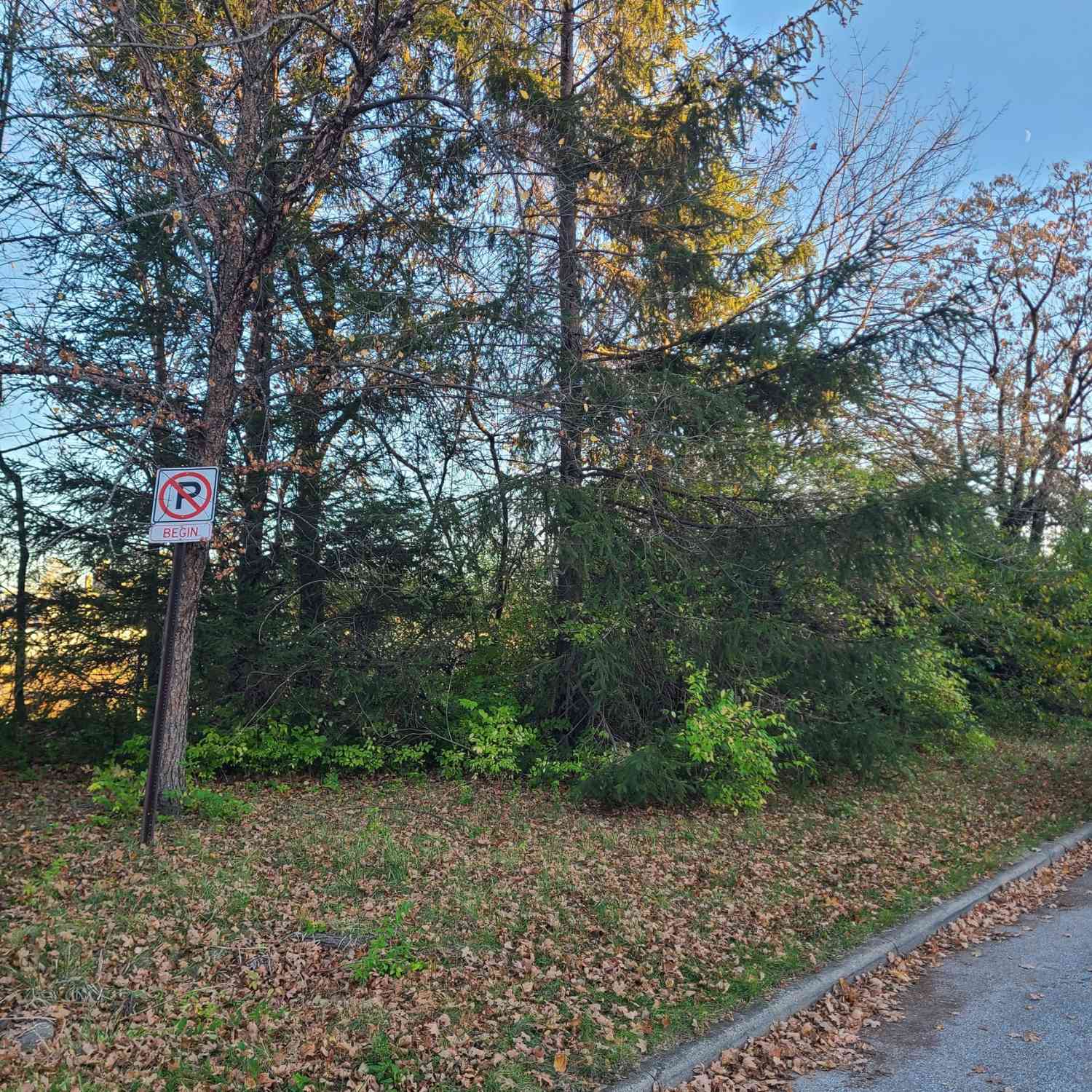 Vacant Land For Sale - 909 Wright Street<br/> Marion County, Indianapolis, IN 46203