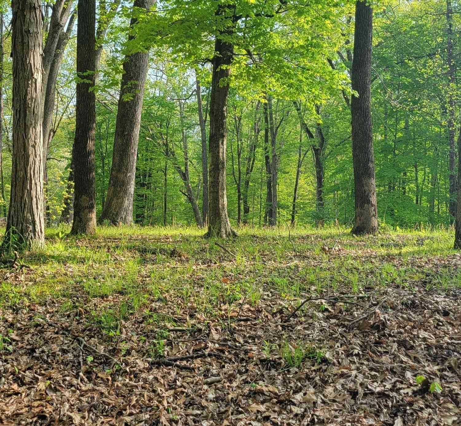 Vacant Land For Sale - 1462 Spirea Court<br/> Jennings County, North Vernon, IN 47265