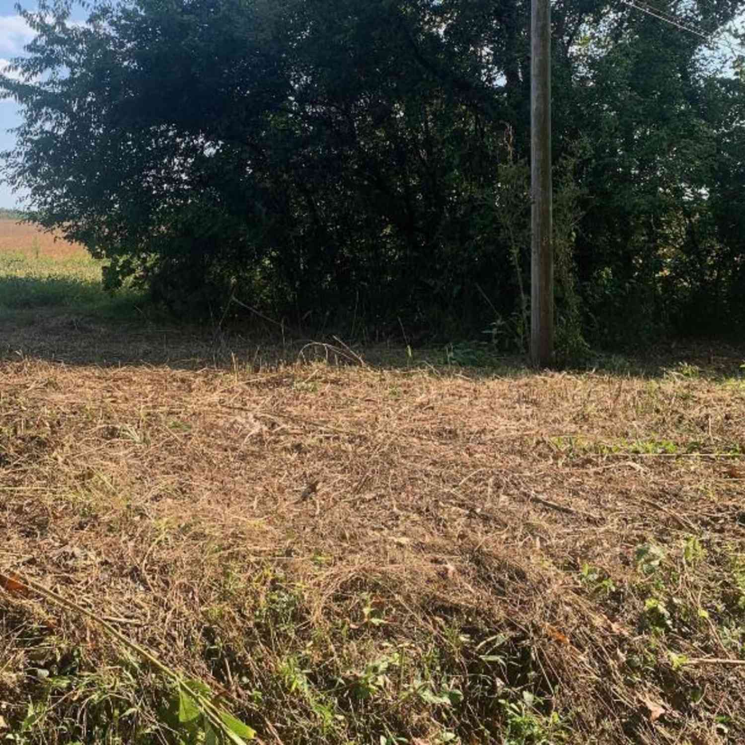 Vacant Land For Sale - 3265 E County Road 425<br/> Jennings County, North Vernon, IN 47265