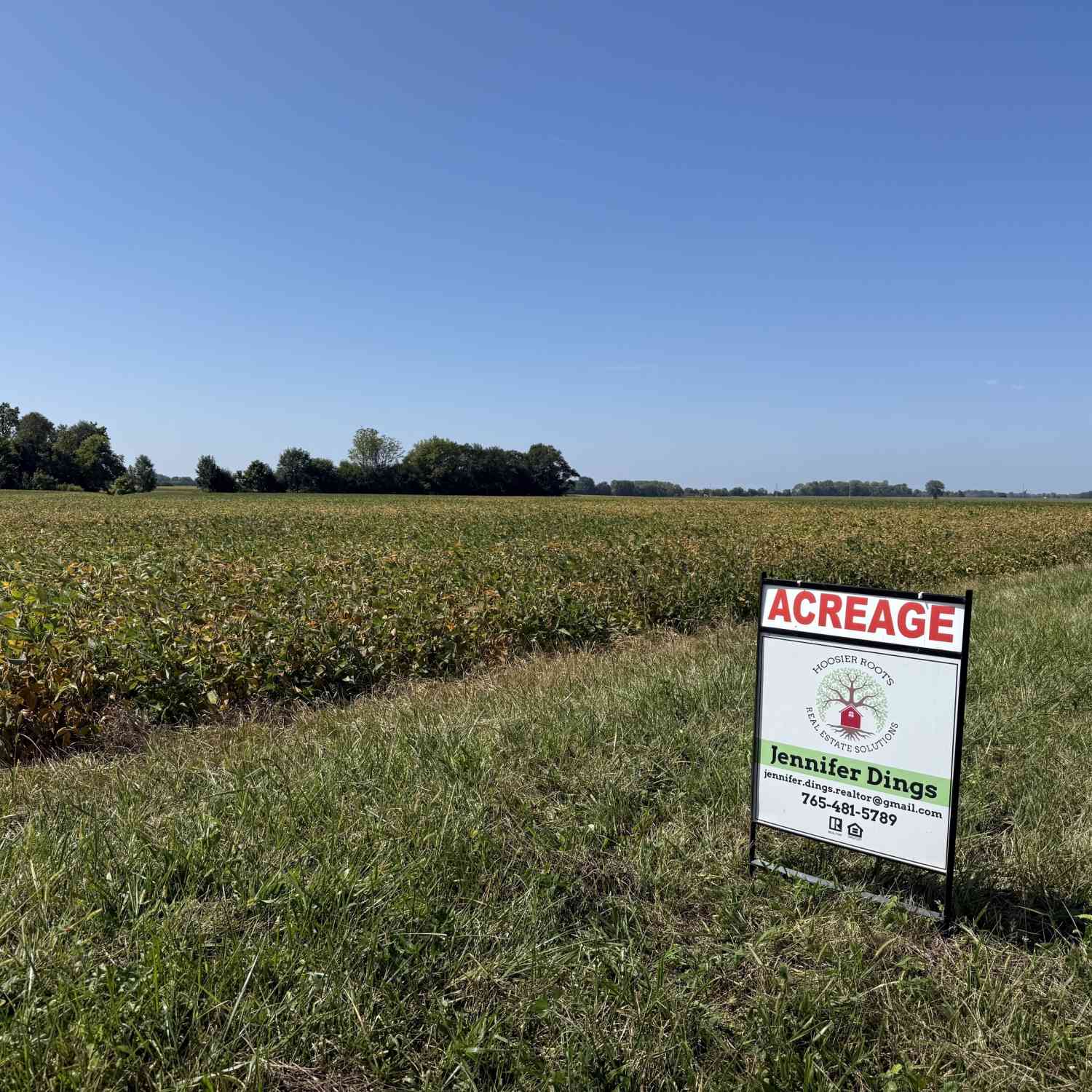 Vacant Land For Sale - 5005 W 200<br/> Lebanon, IN 46052