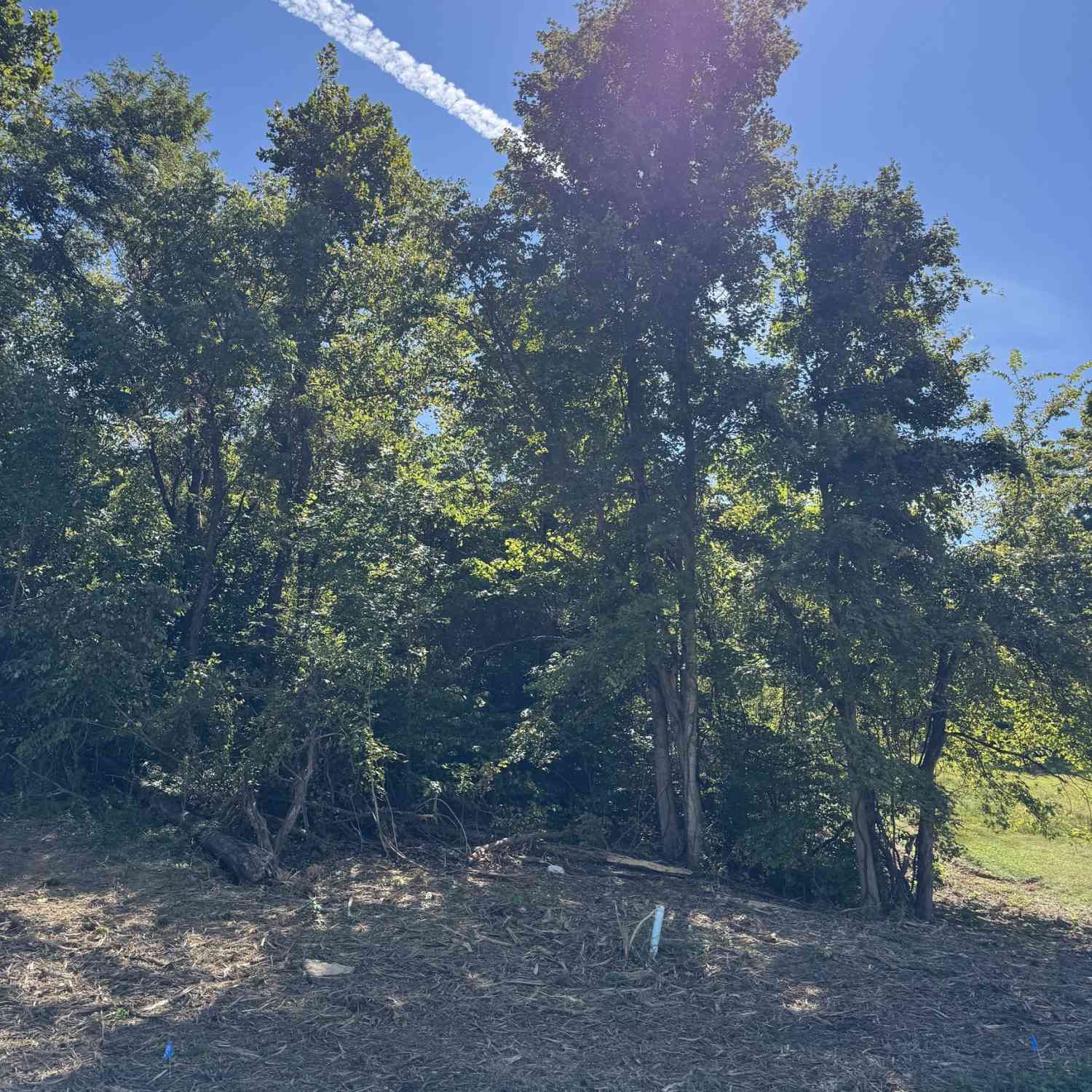 Vacant Land For Sale - 732 W Thornridge Way<br/> Owen County, Spencer, IN 47460