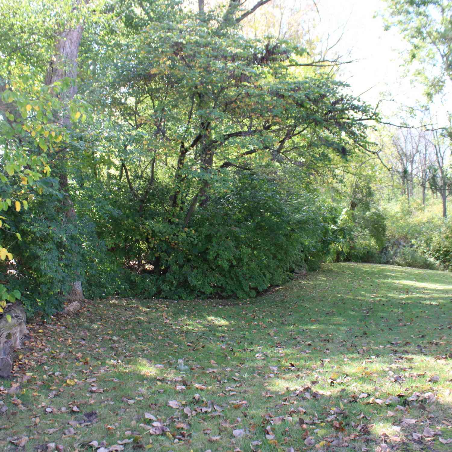 Vacant Land For Sale - State Road 13<br/> Madison County, Elwood, IN 46036