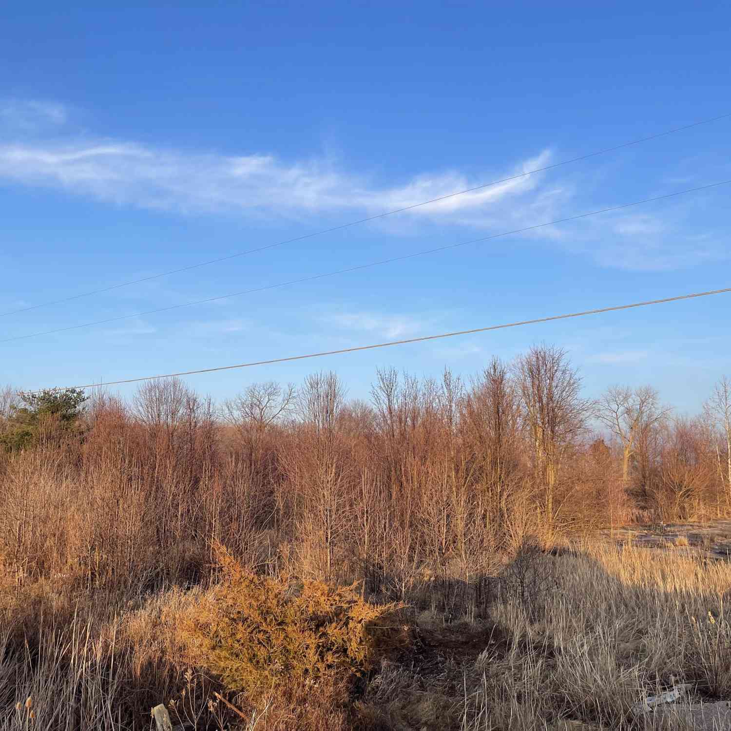 Vacant Land For Sale - 3205 N State Road 39<br/> Lebanon, IN 46052