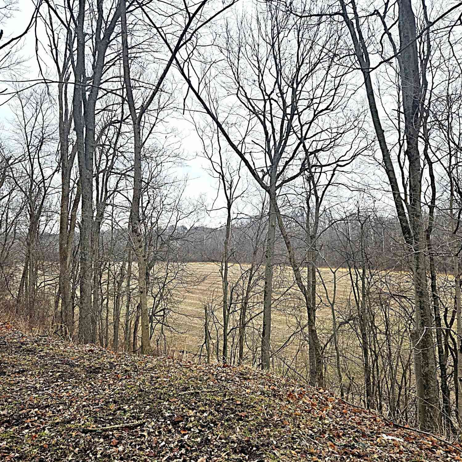 Vacant Land For Sale - 5921 N County Road 500<br/> Bainbridge, IN 46105