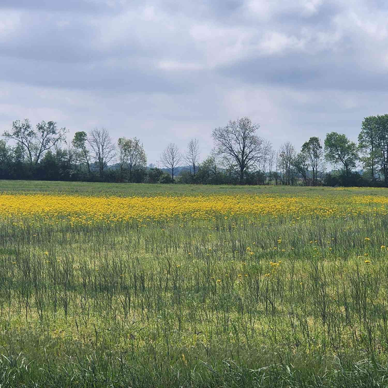 Vacant Land For Sale - W 500<br/> Whiteland, IN 46184