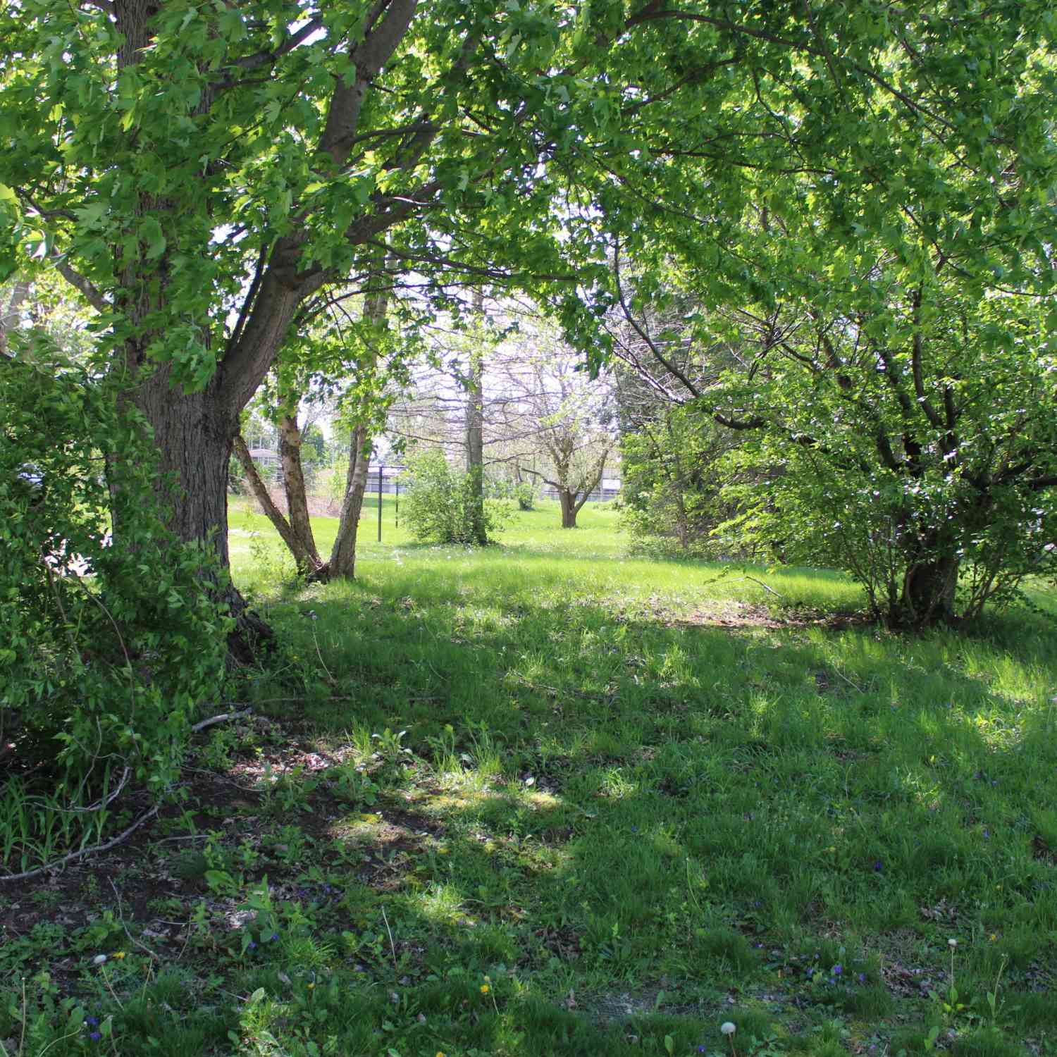 Vacant Land For Sale - 601 E Clyde Street<br/> Madison County, Frankton, IN 46044