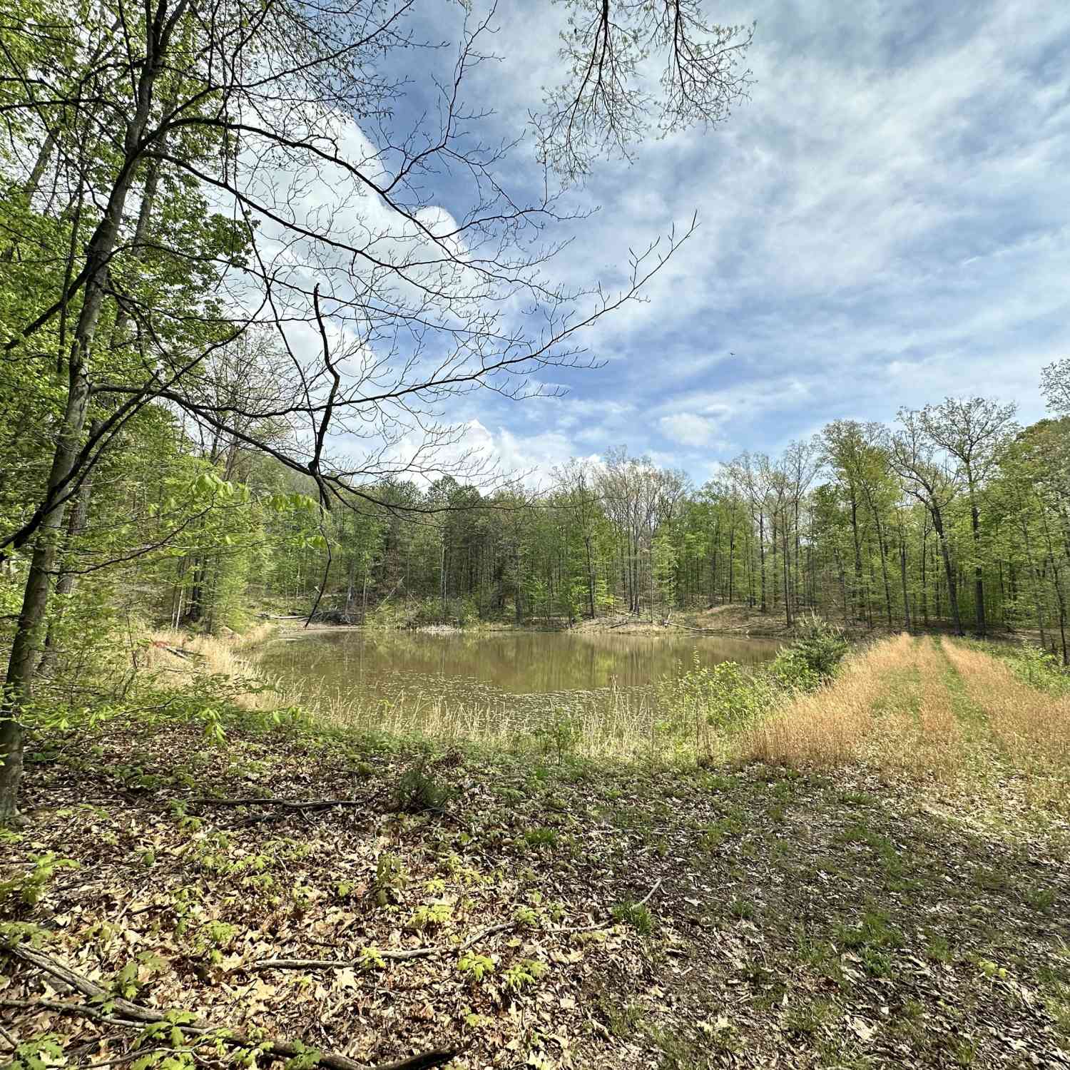 Vacant Land For Sale - 2013-2006 S Austin Court<br/> Morgan County, Martinsville, IN 46151