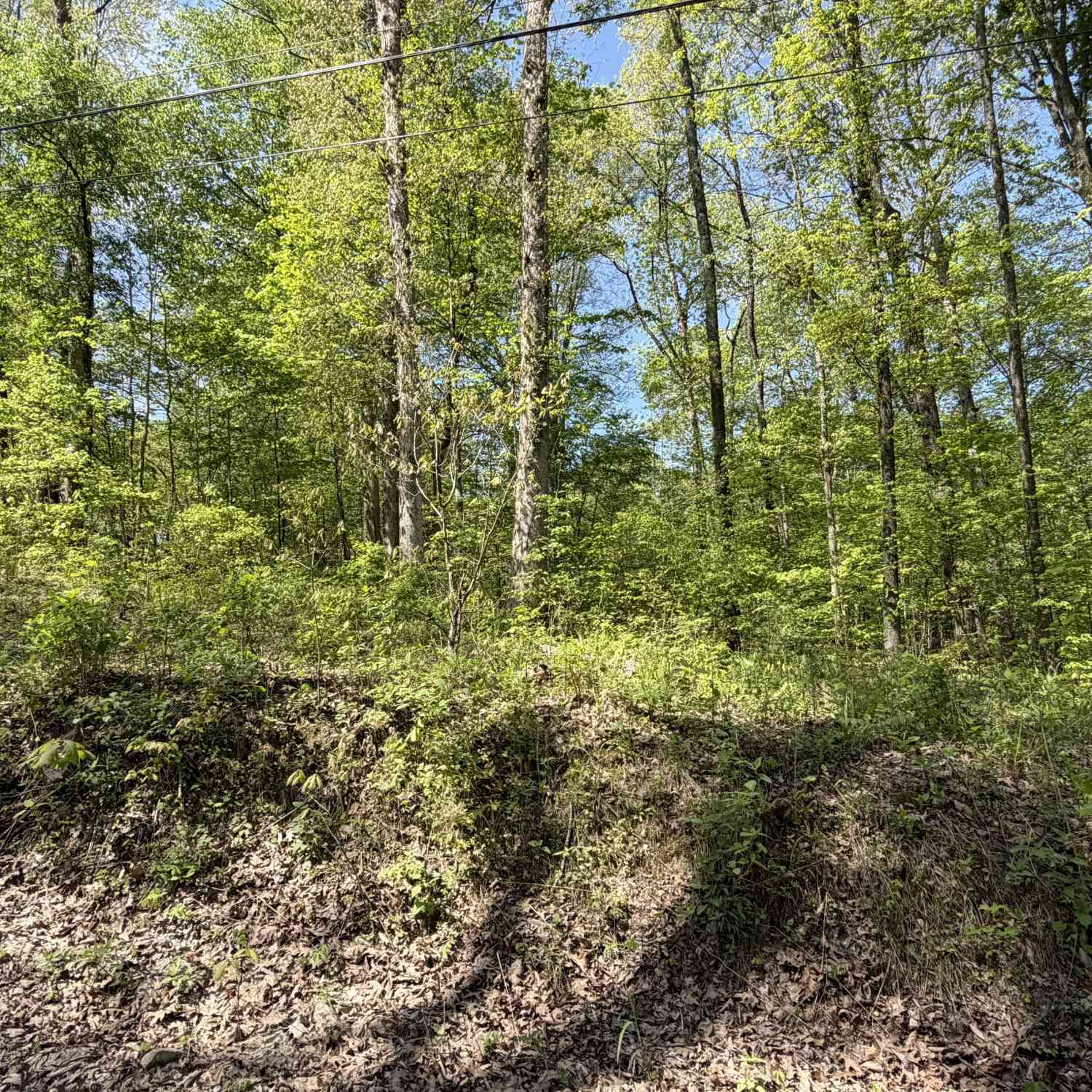 Vacant Land For Sale - 00 Straight Line Road<br/> Owen County, Coal City, IN 47427
