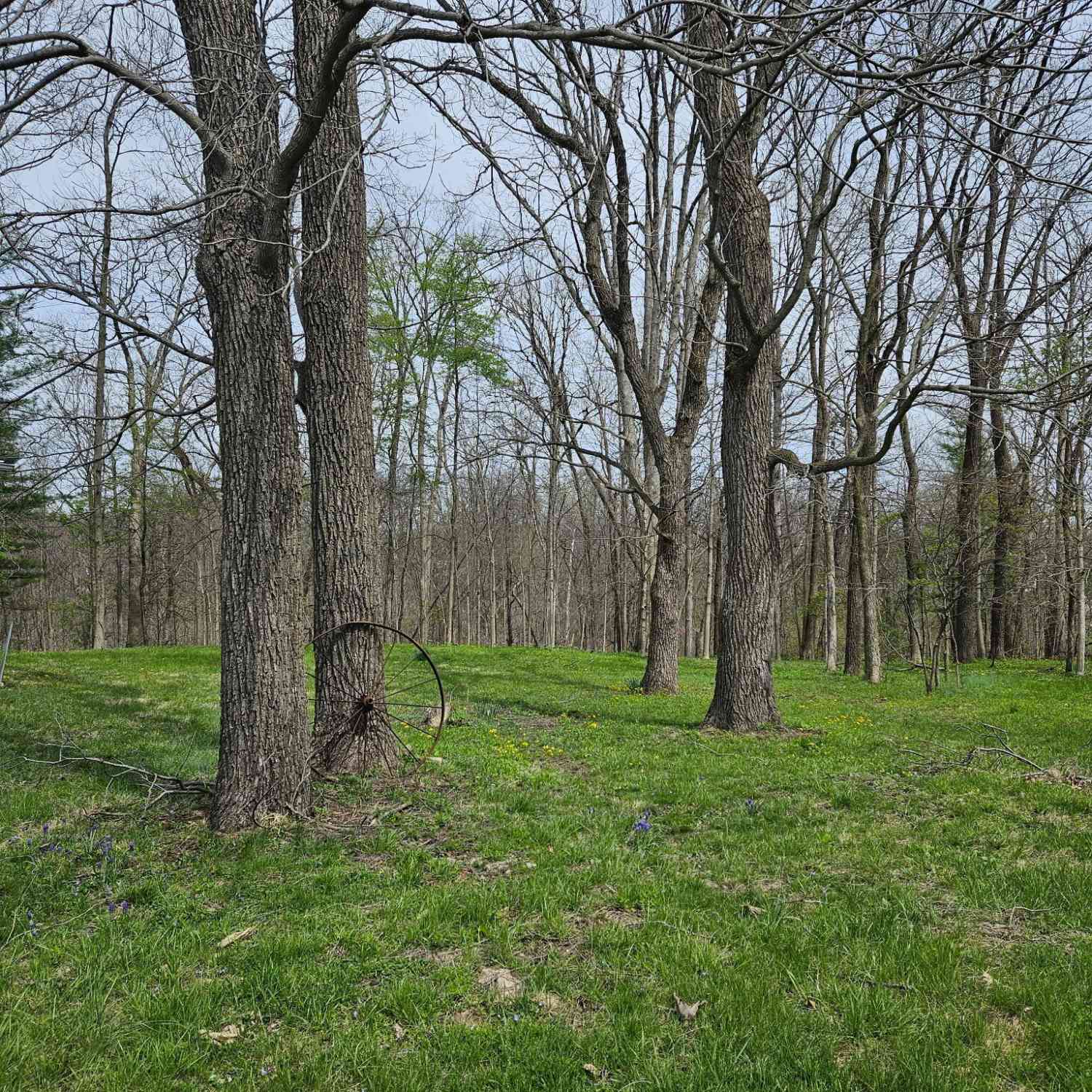 Vacant Land For Sale - 5153 E County Road 650<br/> Bainbridge, IN 46105