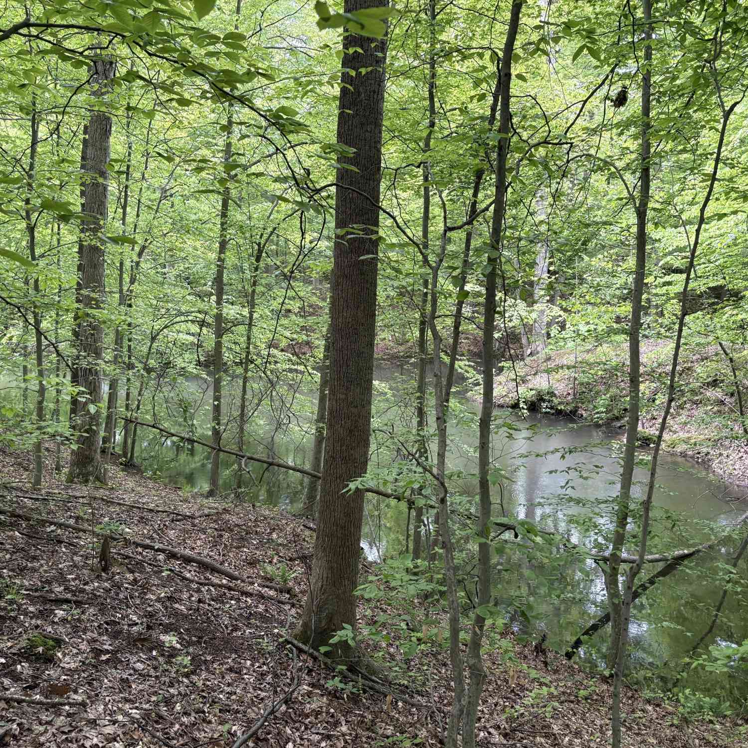 Vacant Land For Sale - 102 & 104 Crabapple Court<br/> Reelsville, IN 46171