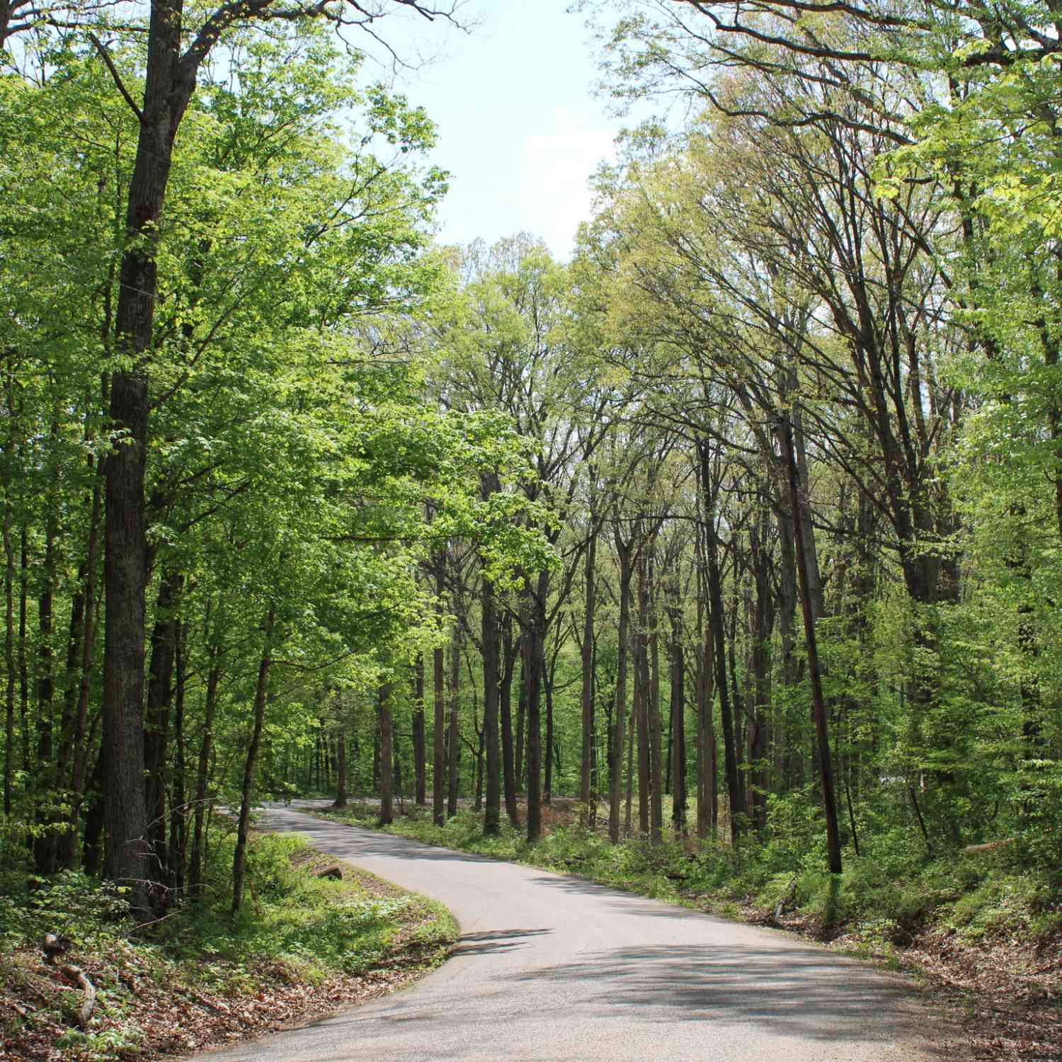 Vacant Land For Sale - TRACT 3: 0 N County Road 555<br/> Jennings County, Butlerville, IN 47265