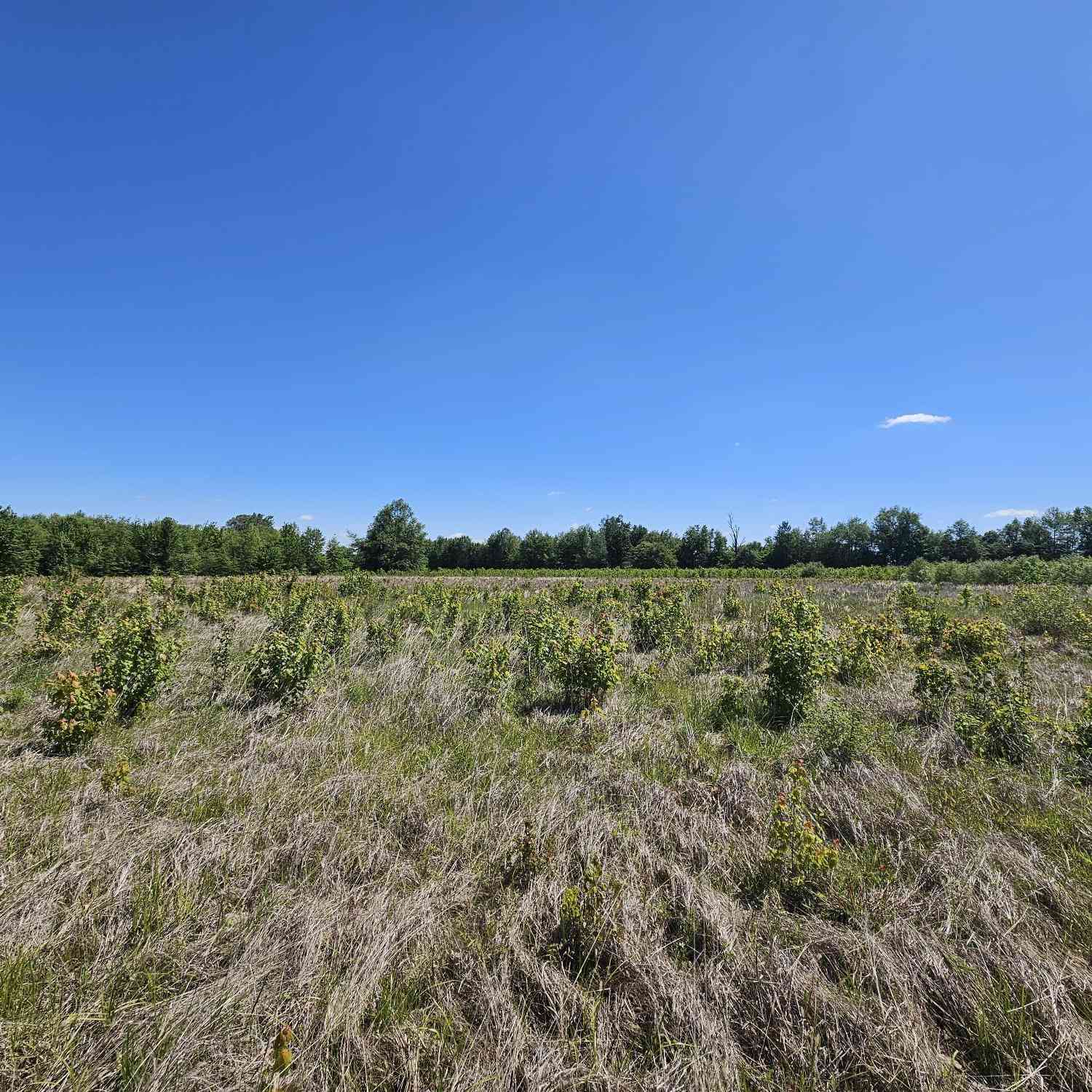 Vacant Land For Sale - 6000 S Block Us Highway 31<br/> Jackson County, Crothersville, IN 47229