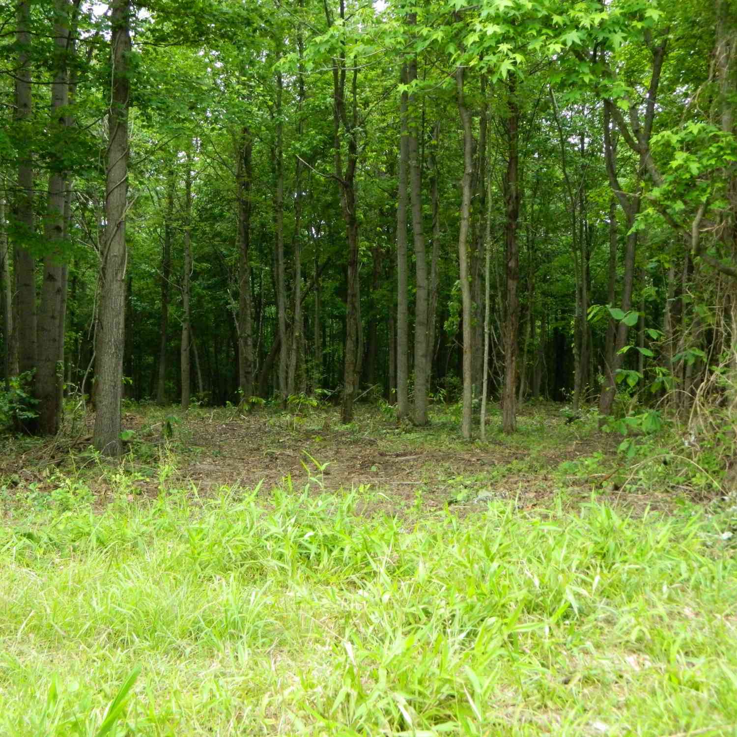 Vacant Land For Sale - E County Road 700<br/> Jackson County, Seymour, IN 47274