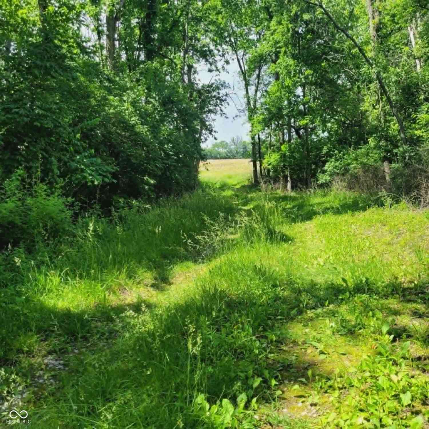 Vacant Land For Sale - 11680 Marlin Road<br/> Marion County, Indianapolis, IN 46239