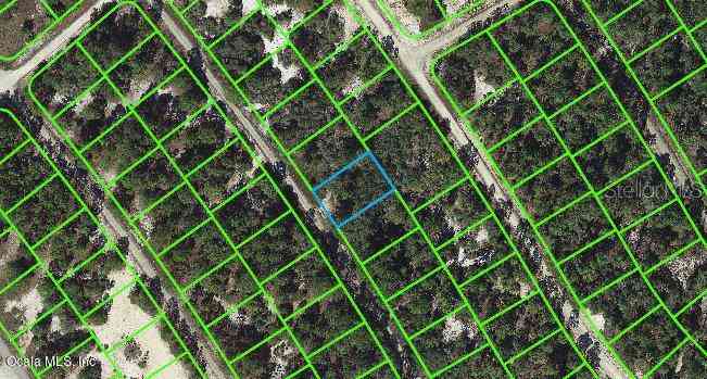 Vacant Land For Sale - 527 Dreamland Drive<br/> LAKE PLACID, FL 33852