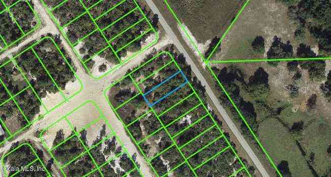Vacant Land For Sale - 1021 Cr 29<br/> LAKE PLACID, FL 33852
