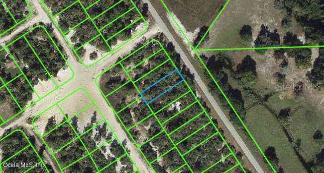 Vacant Land For Sale - 1023 Cr 29<br/> LAKE PLACID, FL 33852