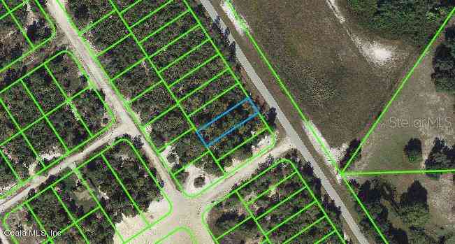 Vacant Land For Sale - 1011 Cr 29<br/> LAKE PLACID, FL 33852