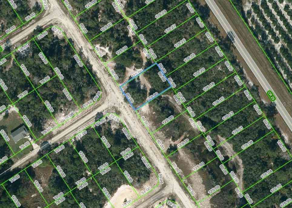 Vacant Land For Sale - 580 Morningside Drive<br/> LAKE PLACID, FL 33852